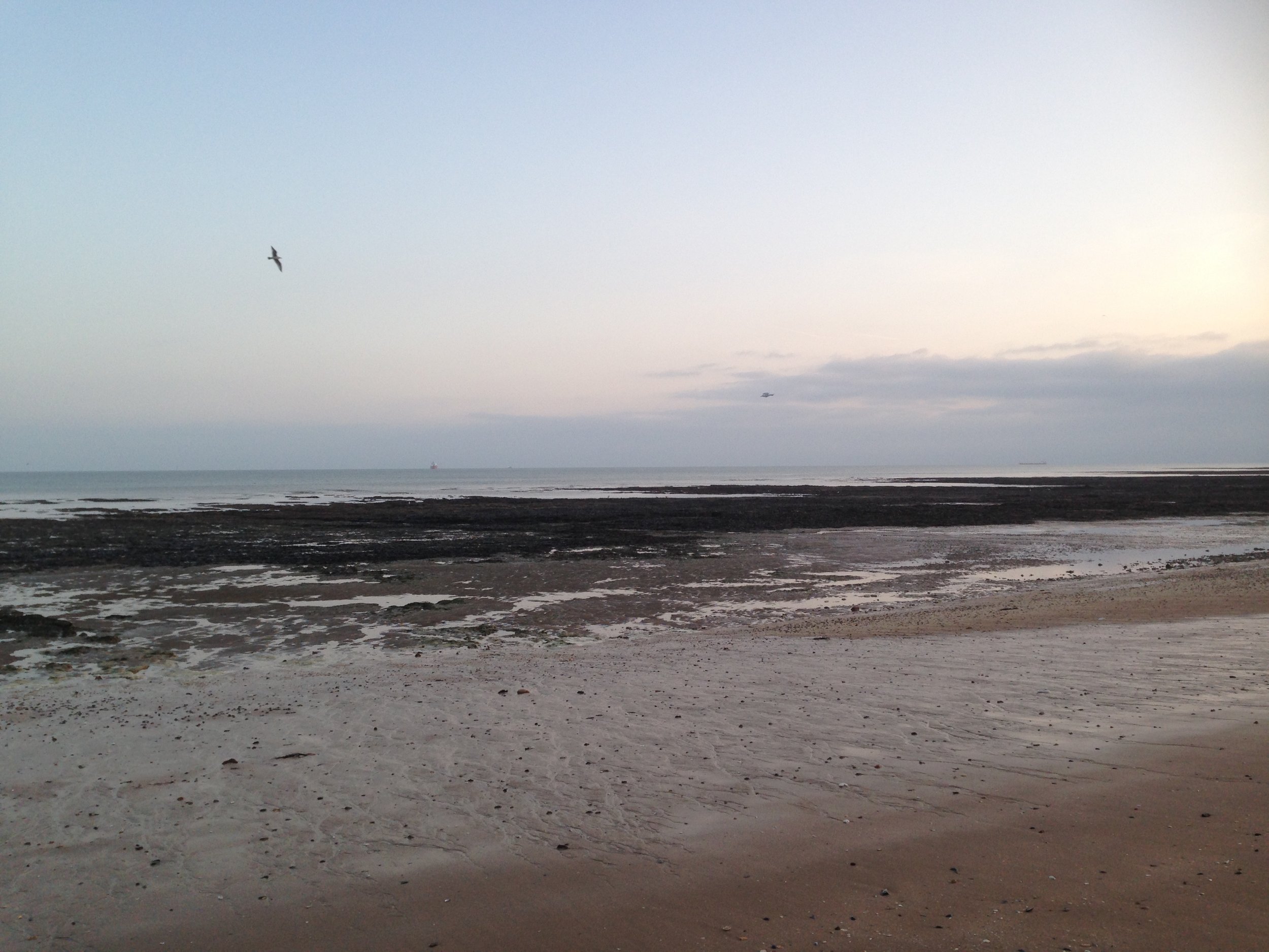 Photo of a beach at dusk with a bird flying overhead