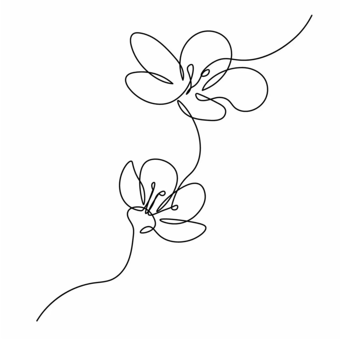 Black and white illustration of two orchids in one single line by farida89