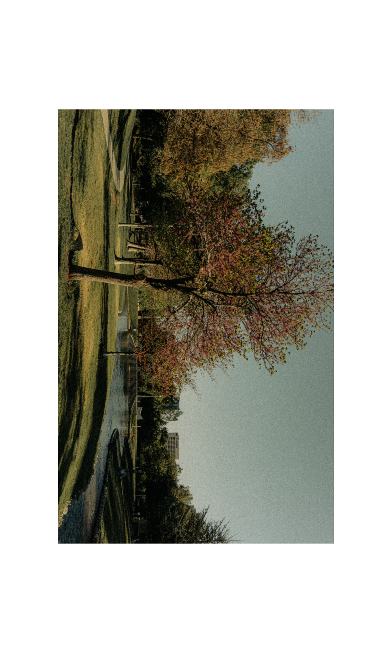 Untitled design-5.png