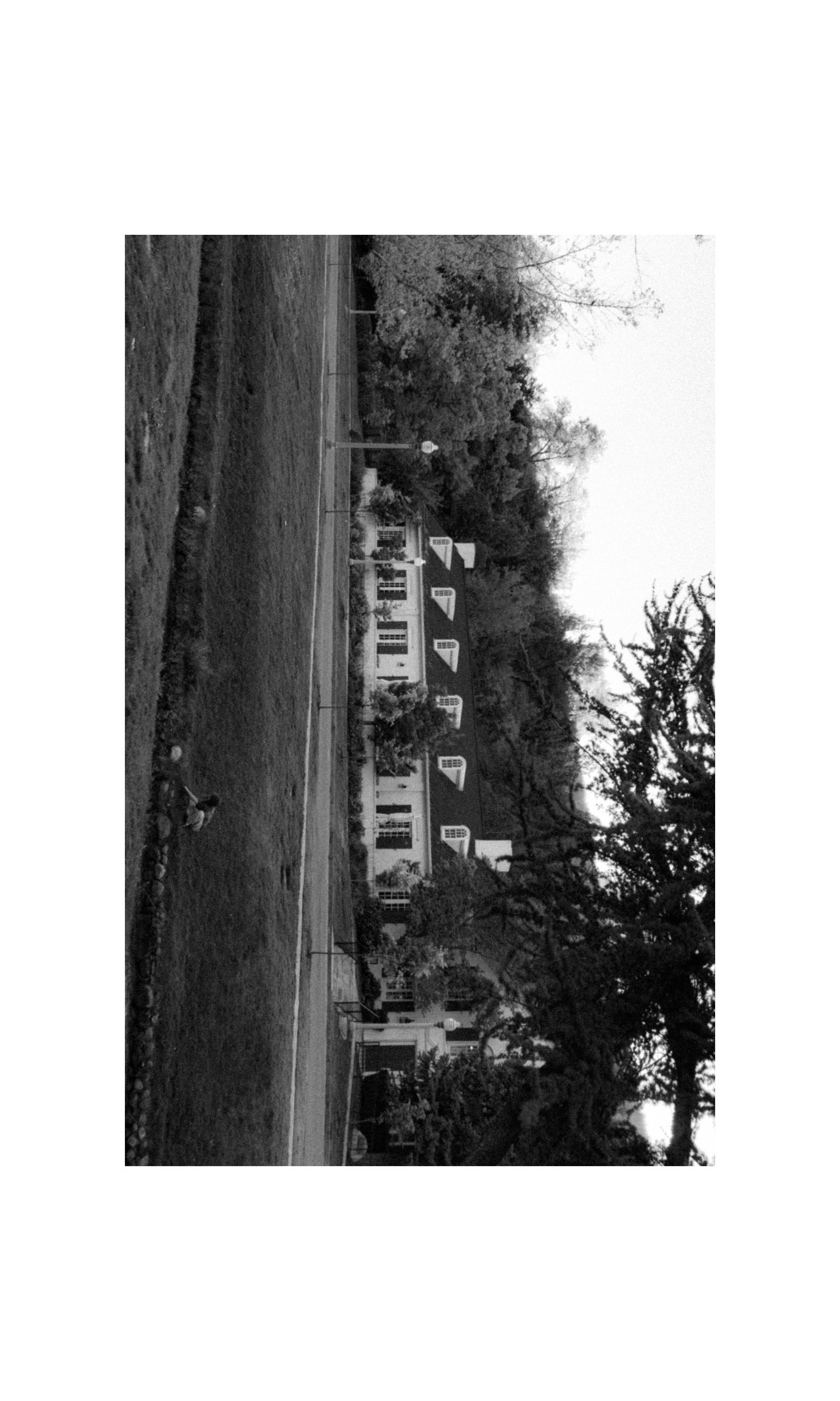 Untitled design-4.png