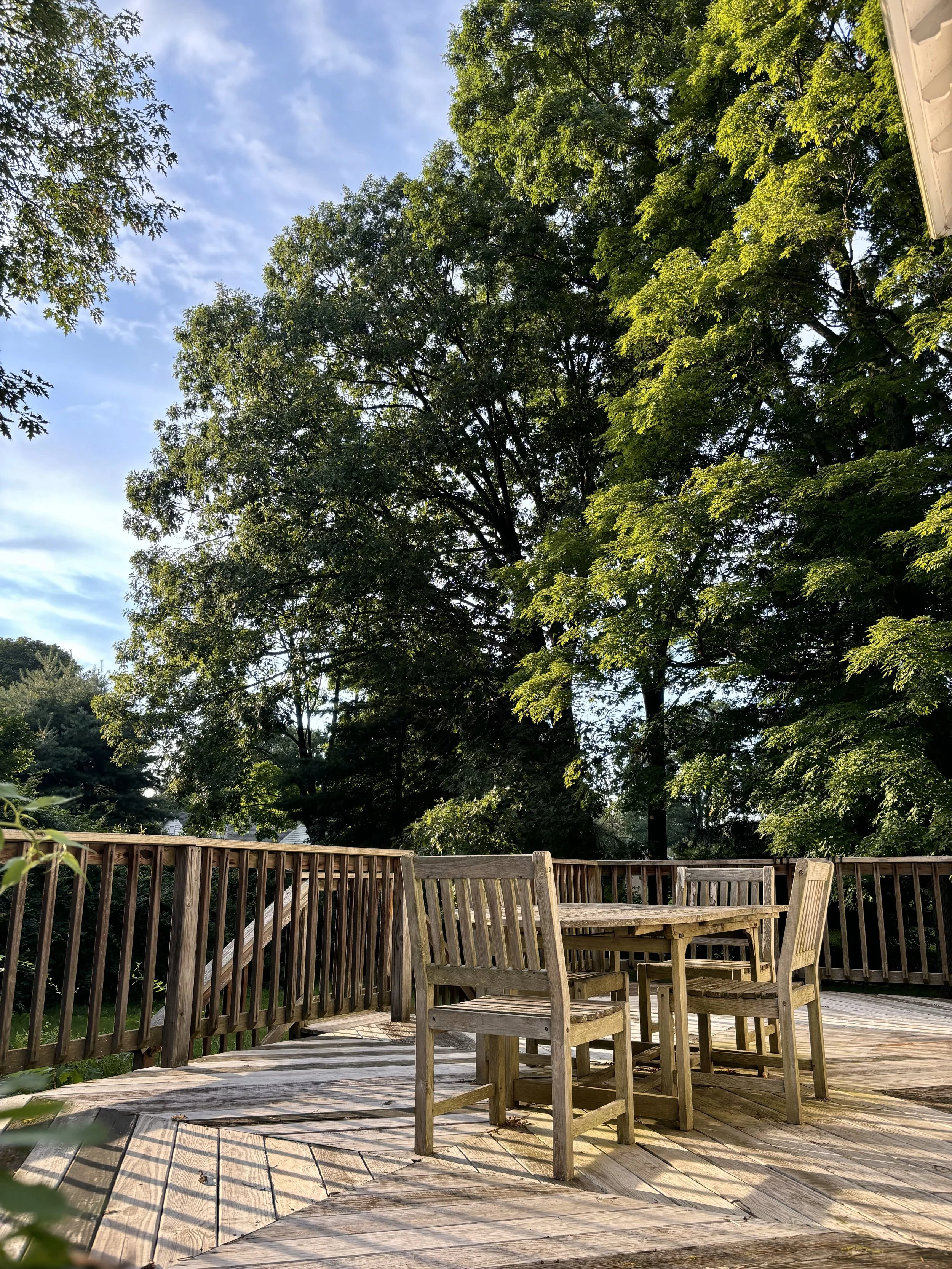back porch.jpg