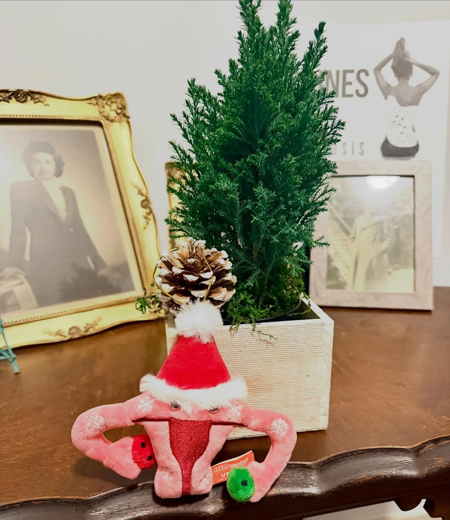Meet my little Charlie Brown tree 🎄✨ Just 1 week until I say &lsquo;goodbye you&rsquo;re cramping my style&rsquo;! Had to snag this adorable ornament from the school bookstore last week&mdash;because what better way to celebrate my upcoming hysterec
