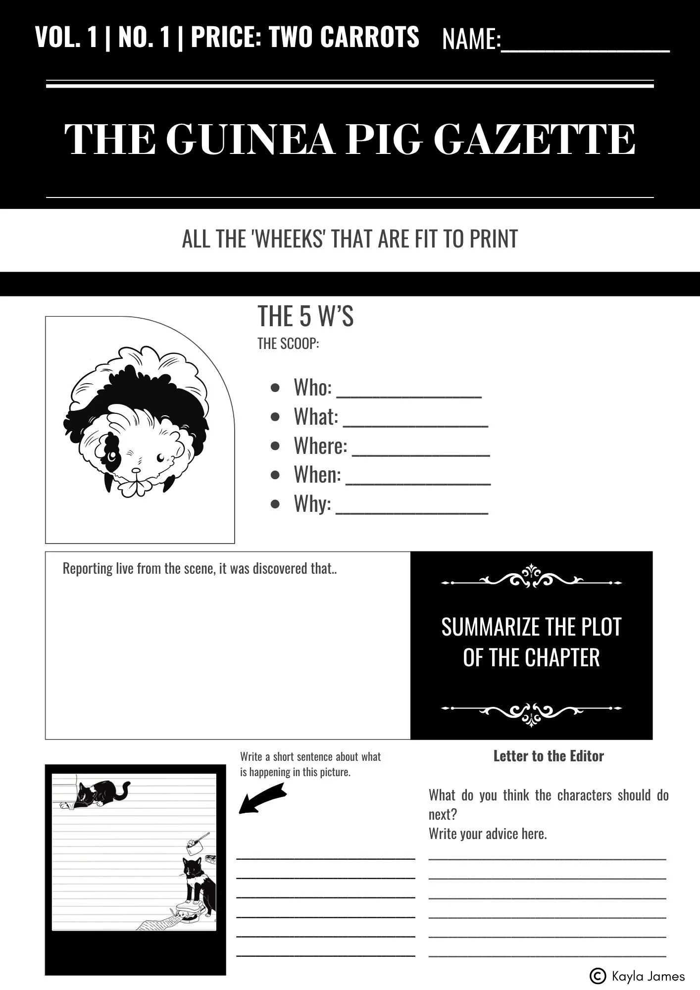 The Guinea Pig Gazette Worksheet .jpg