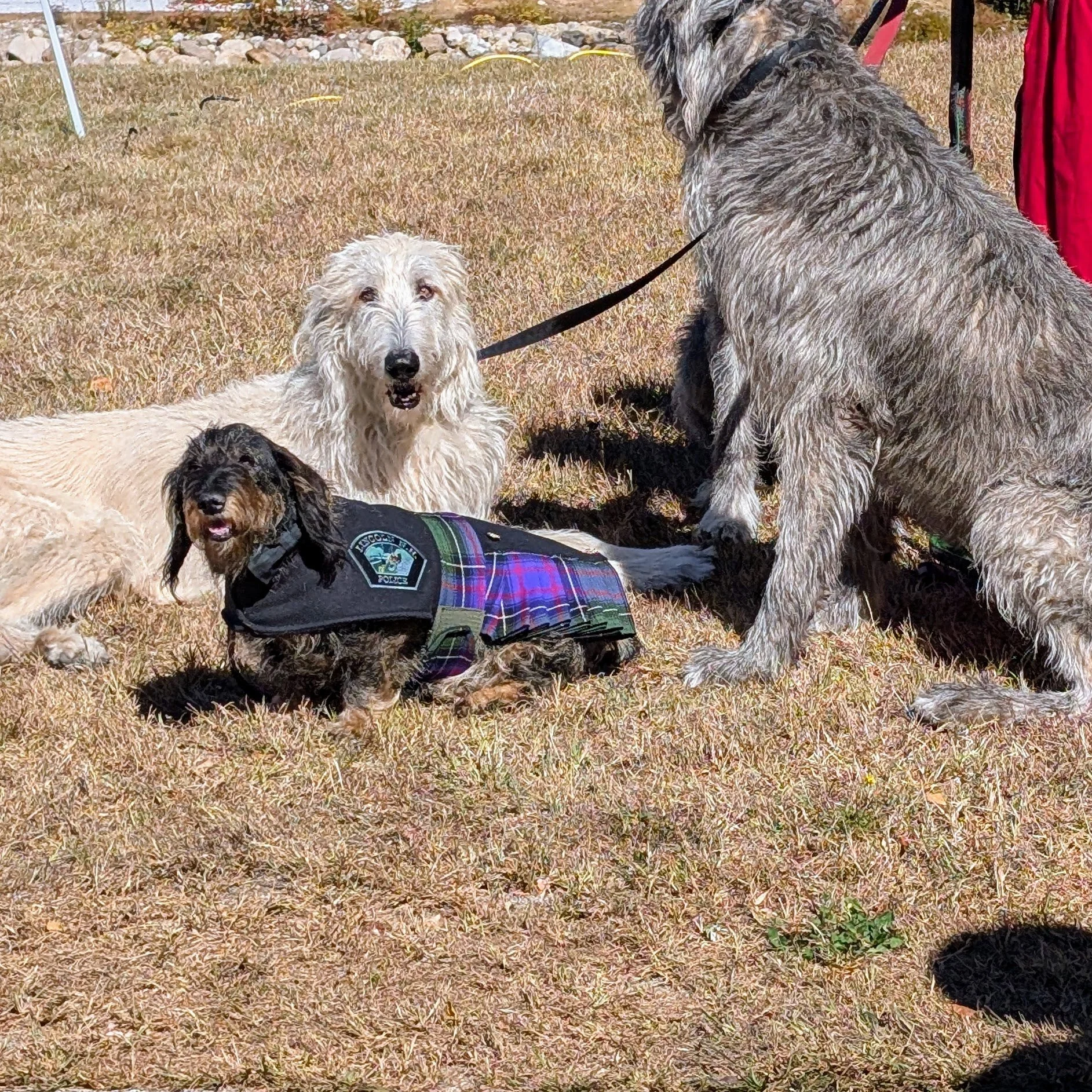 Hi, I&rsquo;m Kayla!

As a former educator and a children&rsquo;s book author based right here in Maine, my entire career has been dedicated to early childhood literacy. I know firsthand how a powerful story can spark a child's imagination and build 