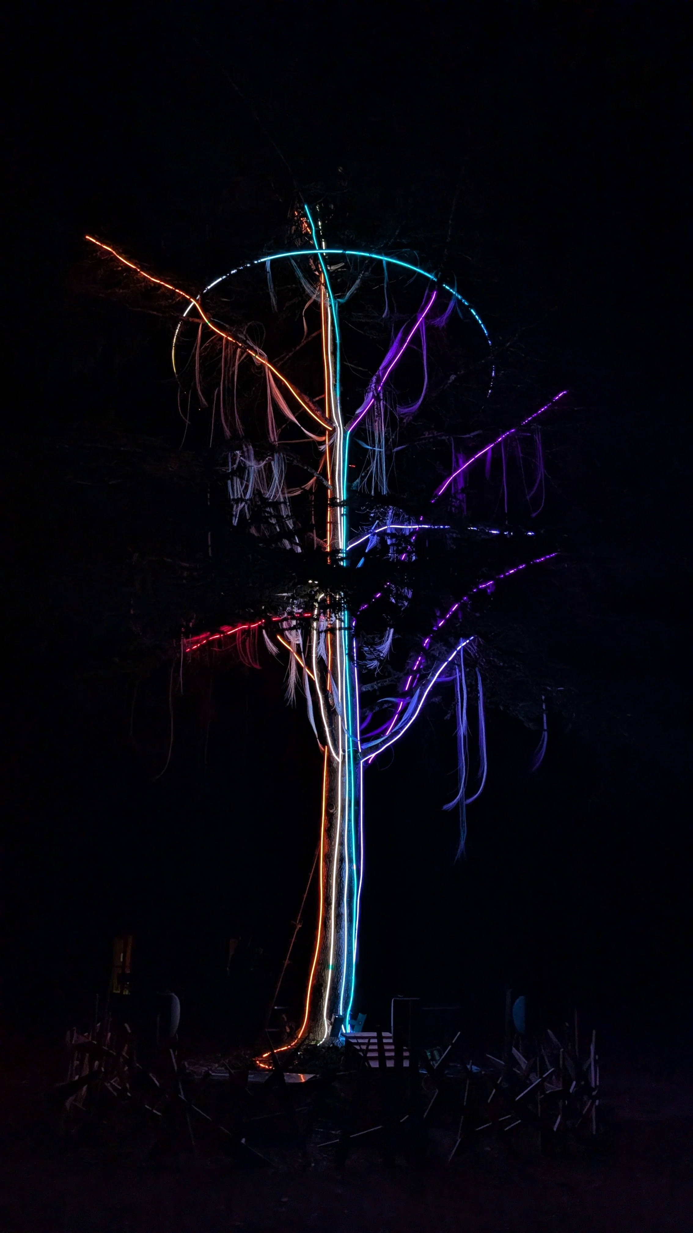Son & lumière au Parc animalier de Grammat // Plus de détails sur instagram (cliques sur la photo)