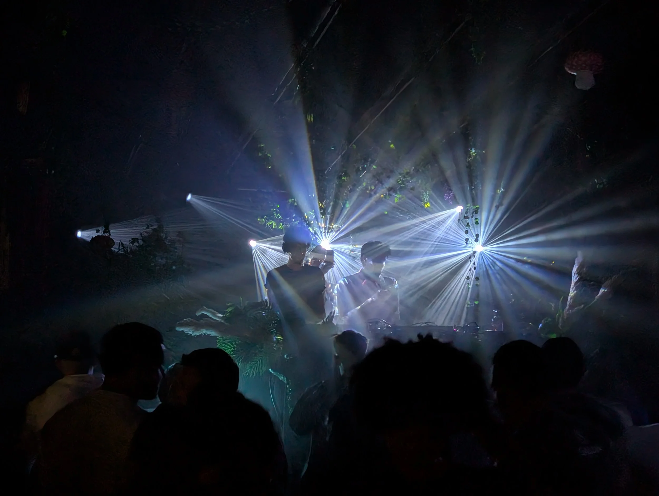 Picture of the event