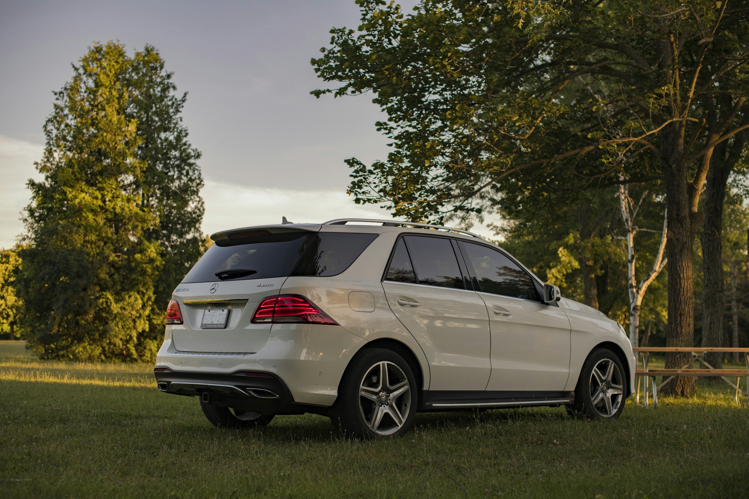 A white Mercedes-Benz GLS 450 SUV parked on a grassy area with trees, a picnic table, and a partly cloudy sky in the background during late afternoon or early evening.