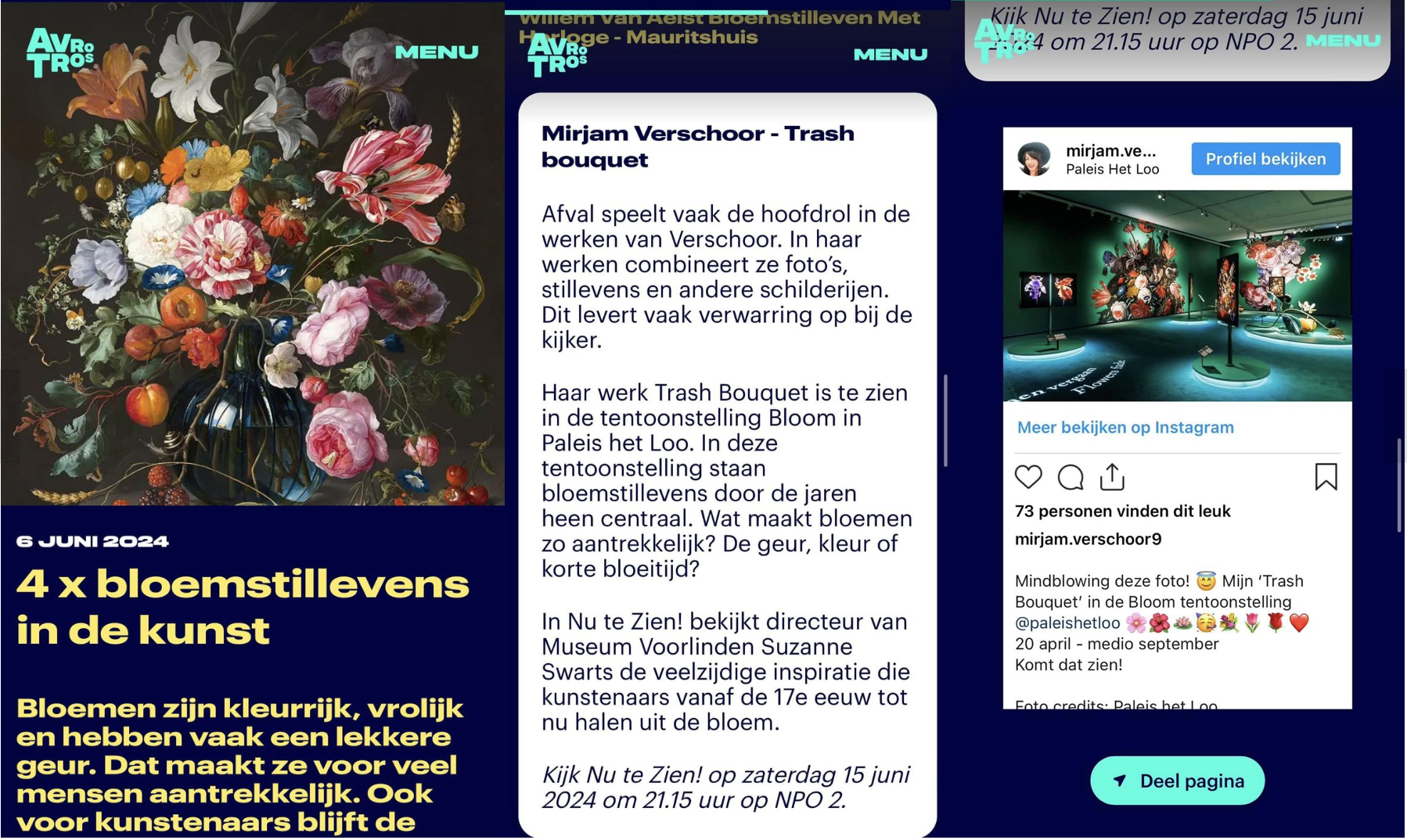 NPO 2 -  AVRO TROS - NU TE ZIEN ONLINE & TV 