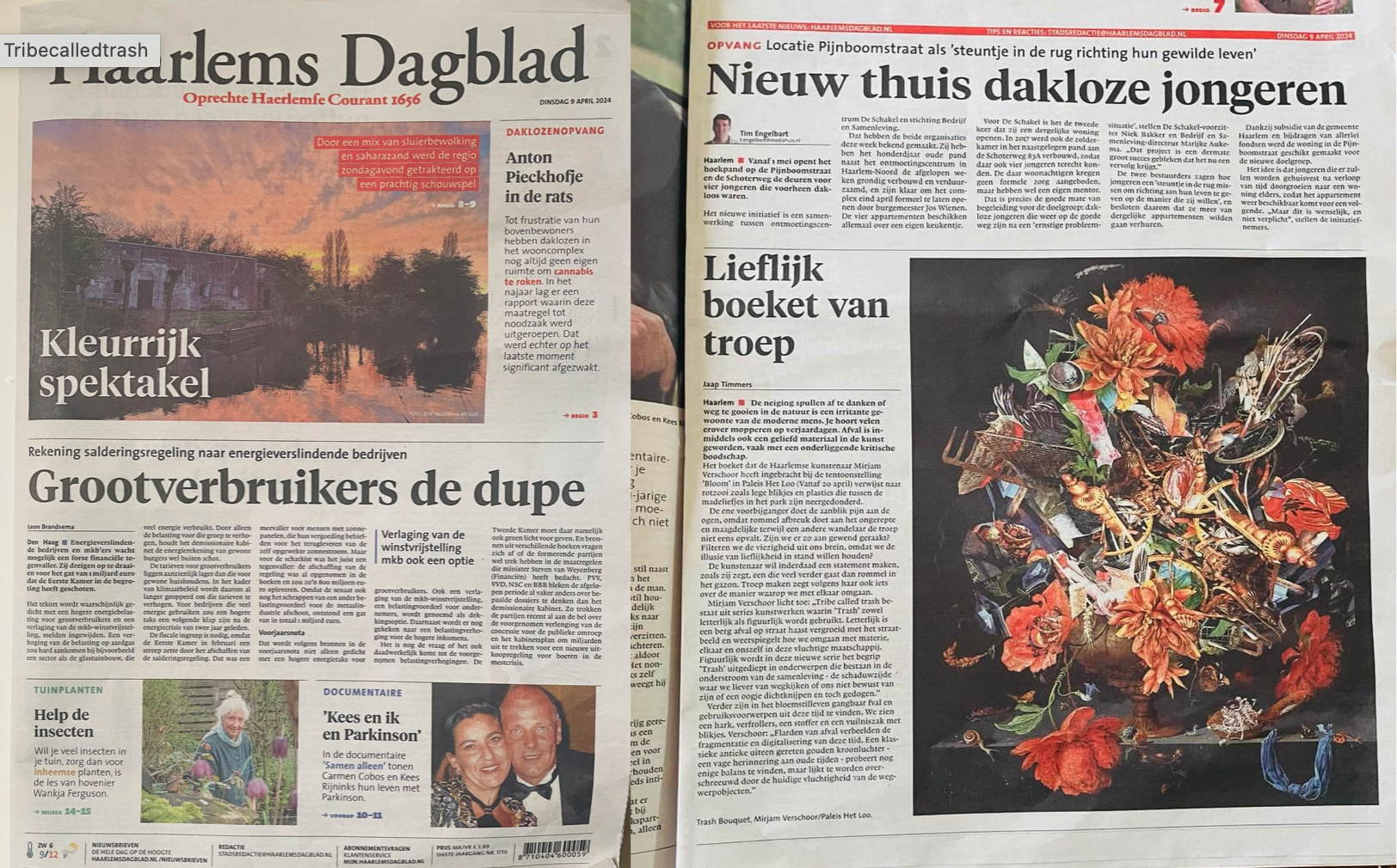 Haarlems Dagblad 