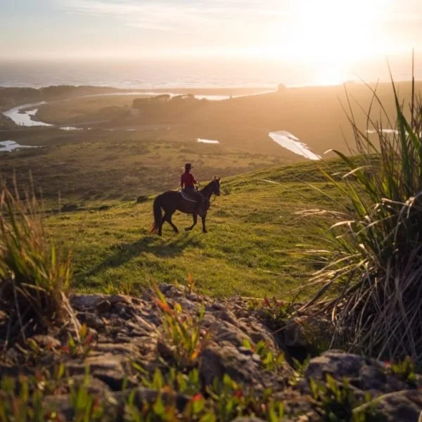 Horseback Riding - Salmon Creek .jpg