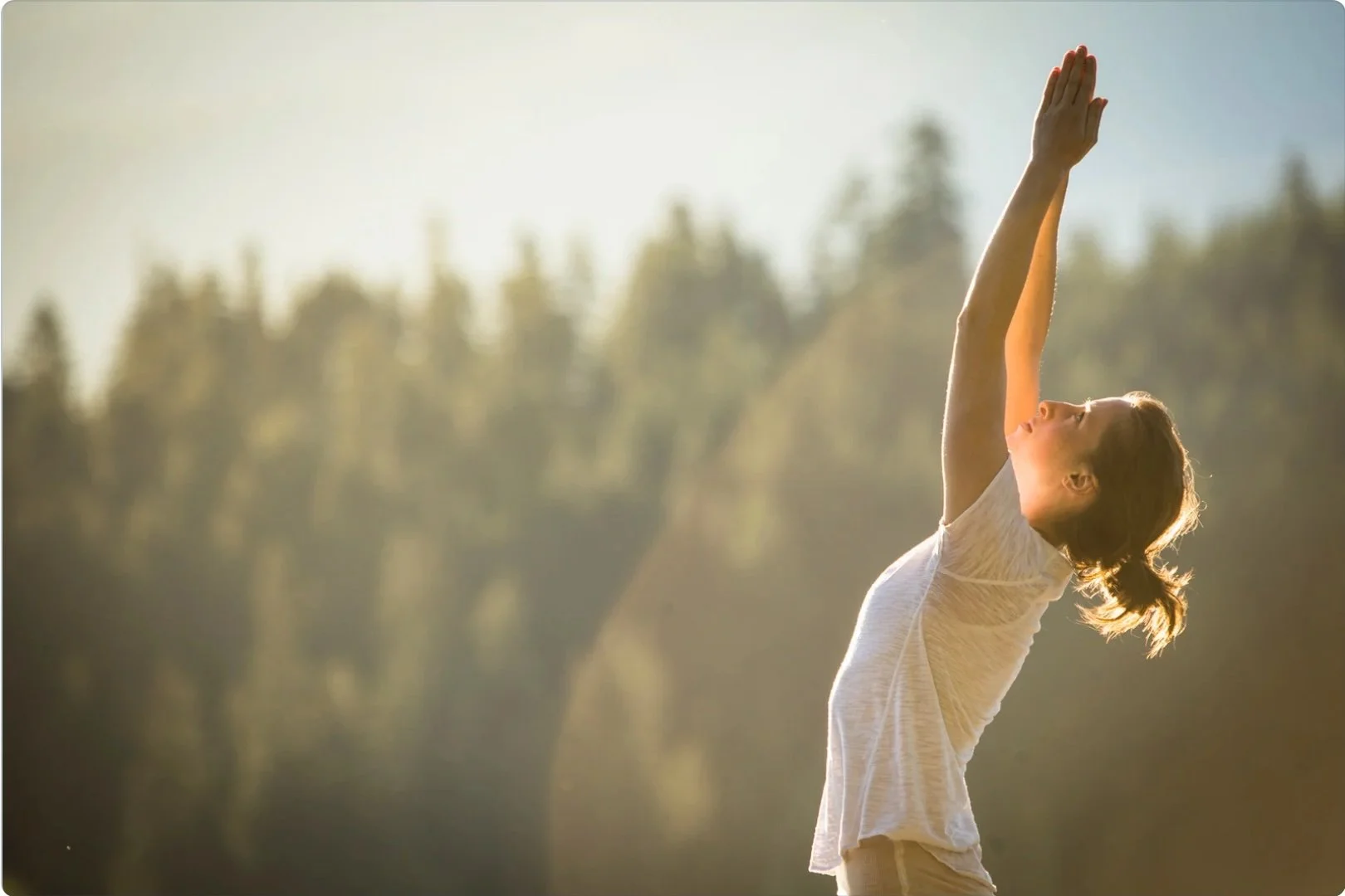 Yoga - Saluting the Sun.jpg