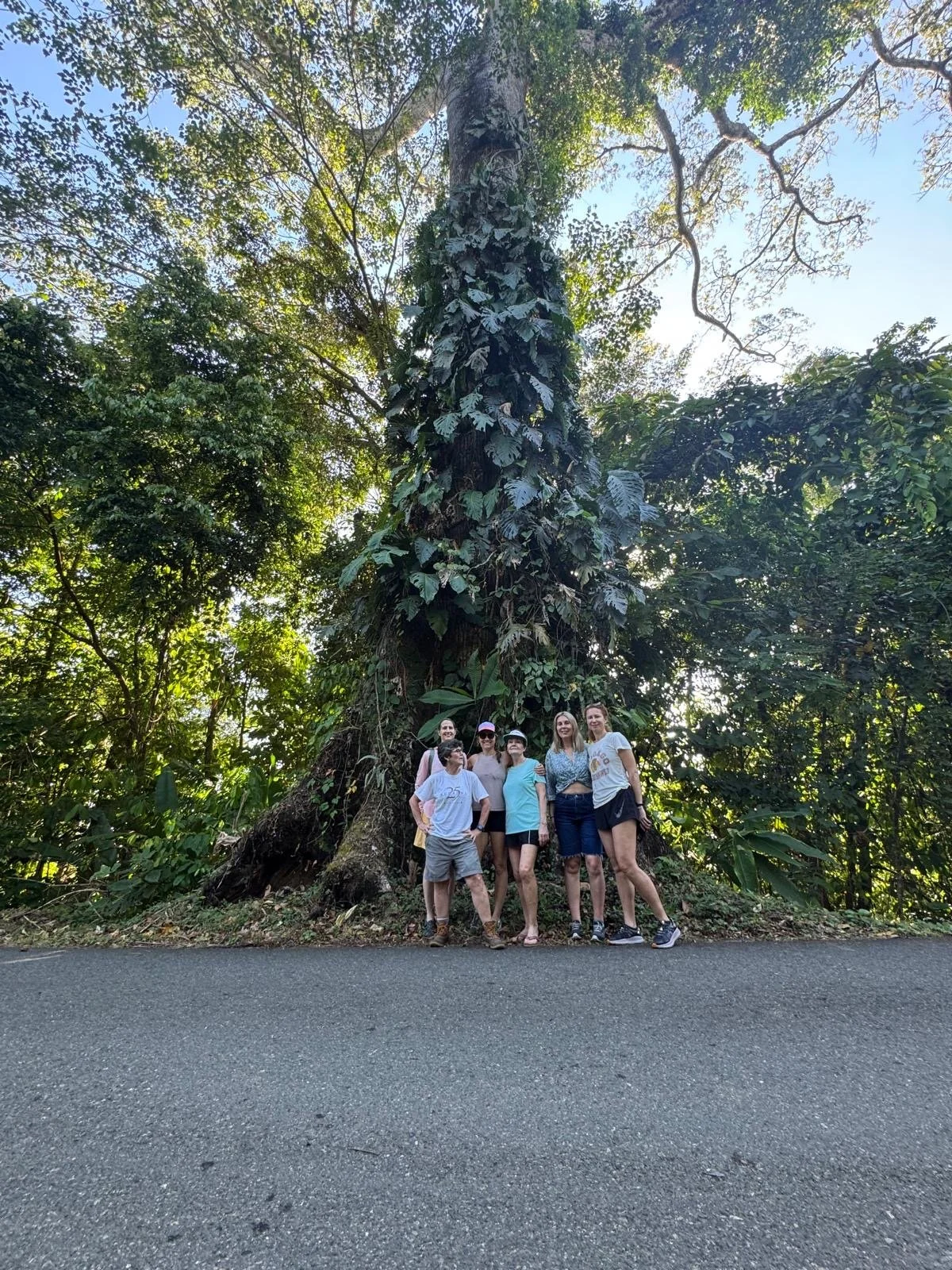 f8b4a19e-be12-4b83-8e44-9c5ca0cef33b 2.JPG