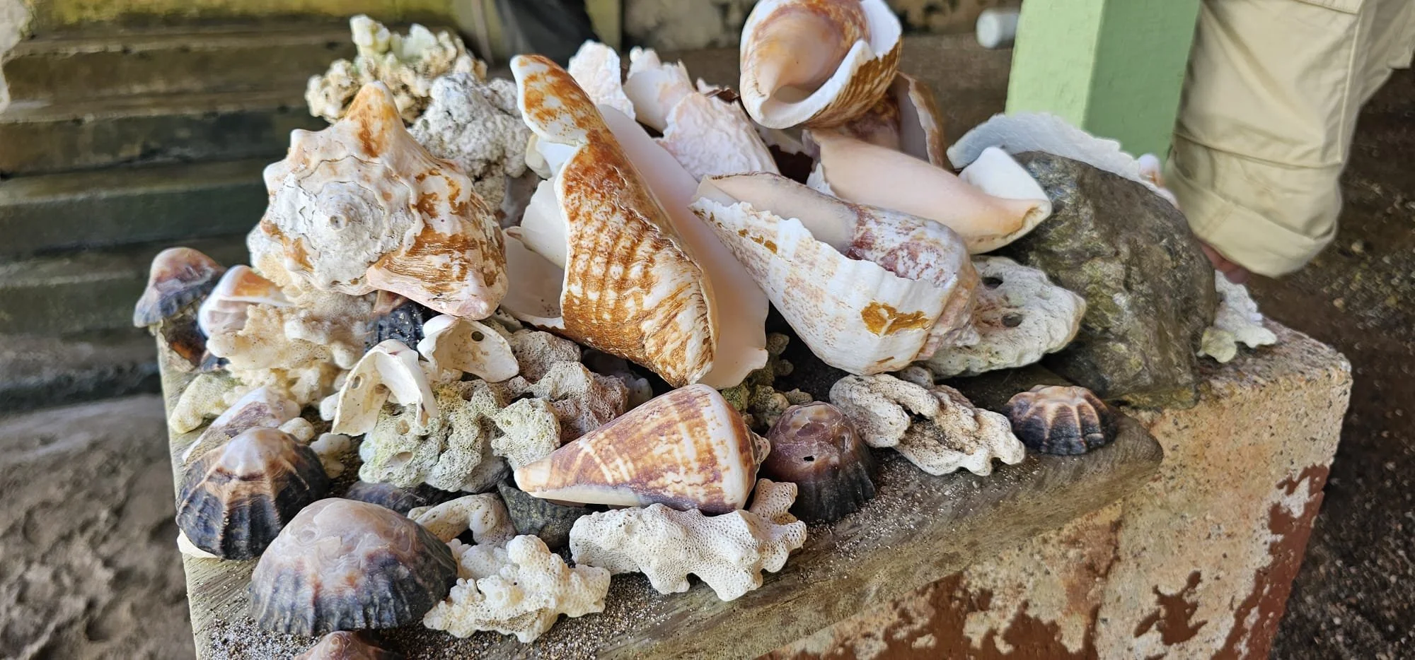 a3efd7e8-f218-4fae-b9d0-d96a58816a34 2.JPG