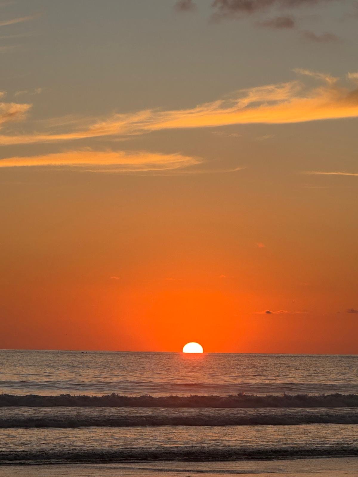 6973dfe8-e2d4-4bec-9f2f-6725af795372 2.JPG