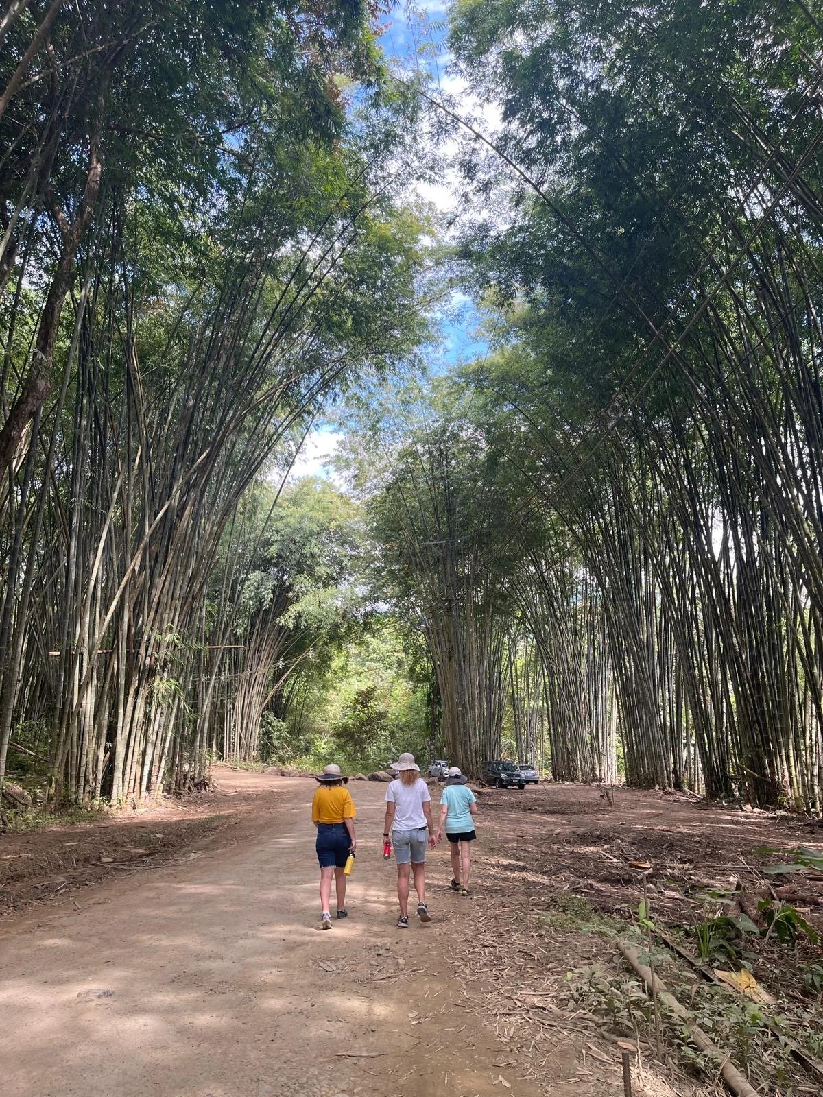 65a51ab2-7361-4e6e-8b10-95aa4ed56dc1 2.JPG