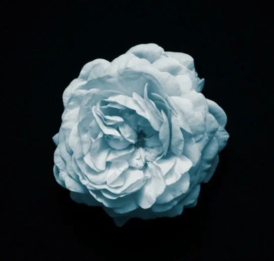 A 30-Minute Pause to Remember