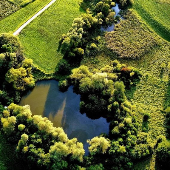 Dachberger_Moorteich.jpg