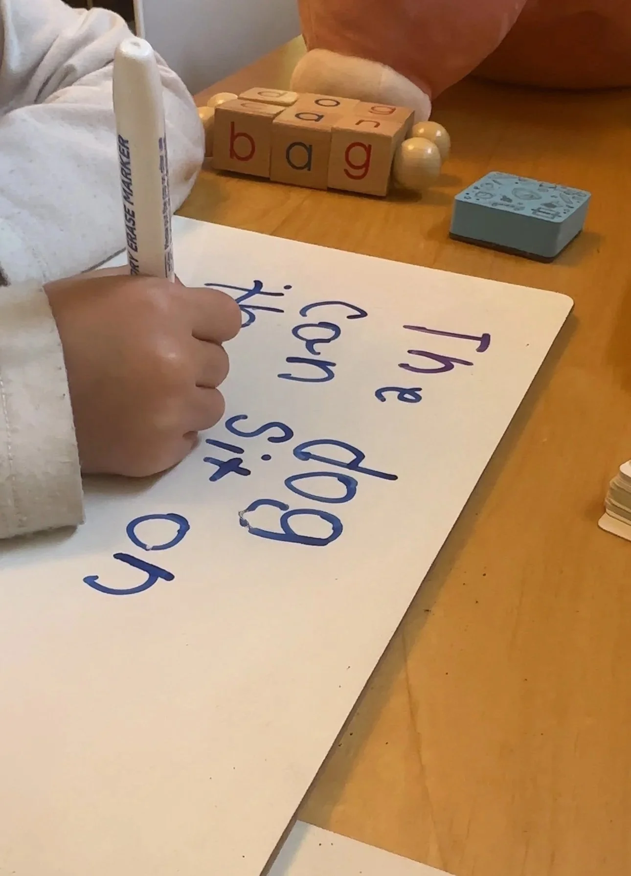 Building a Reading-Rich Home on Any Budget