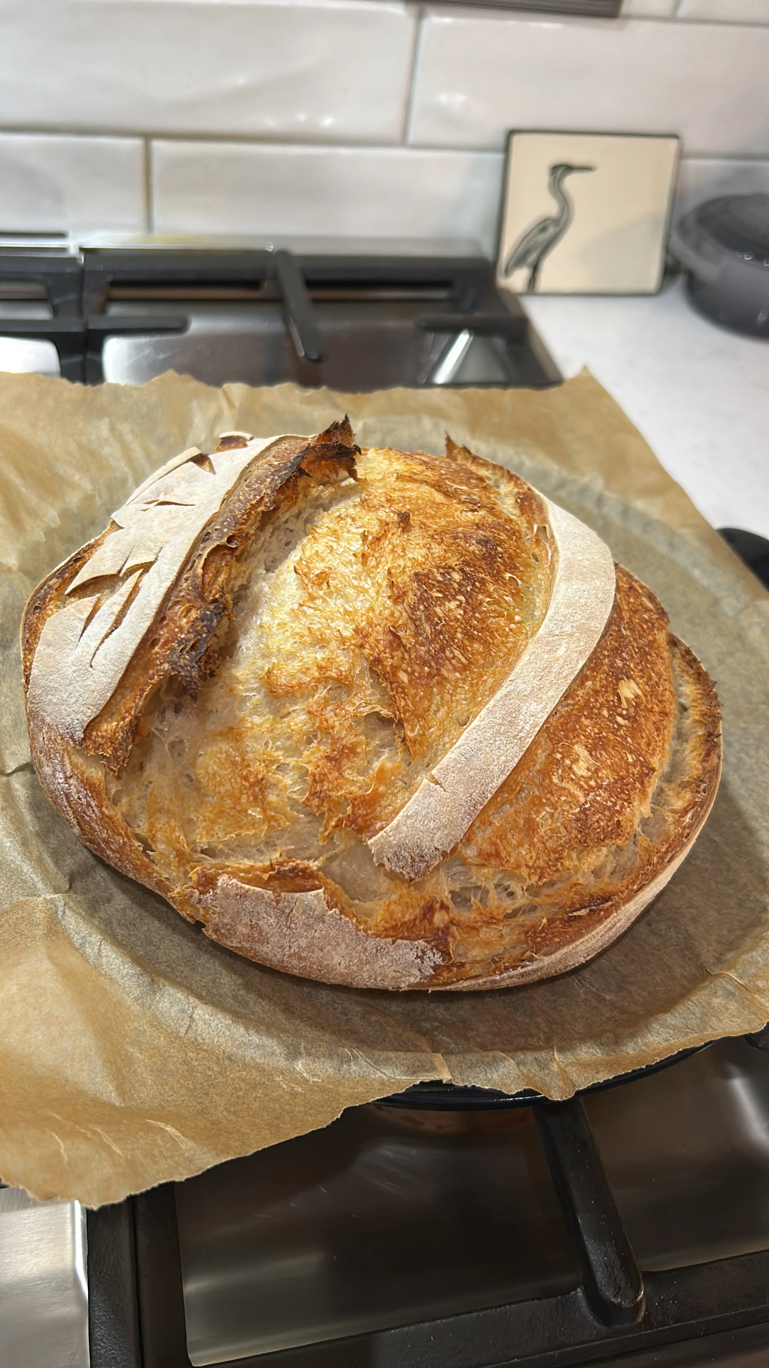 5CFA933F-481A-4E33-B371-EE94C6CA2EEA 2.JPG