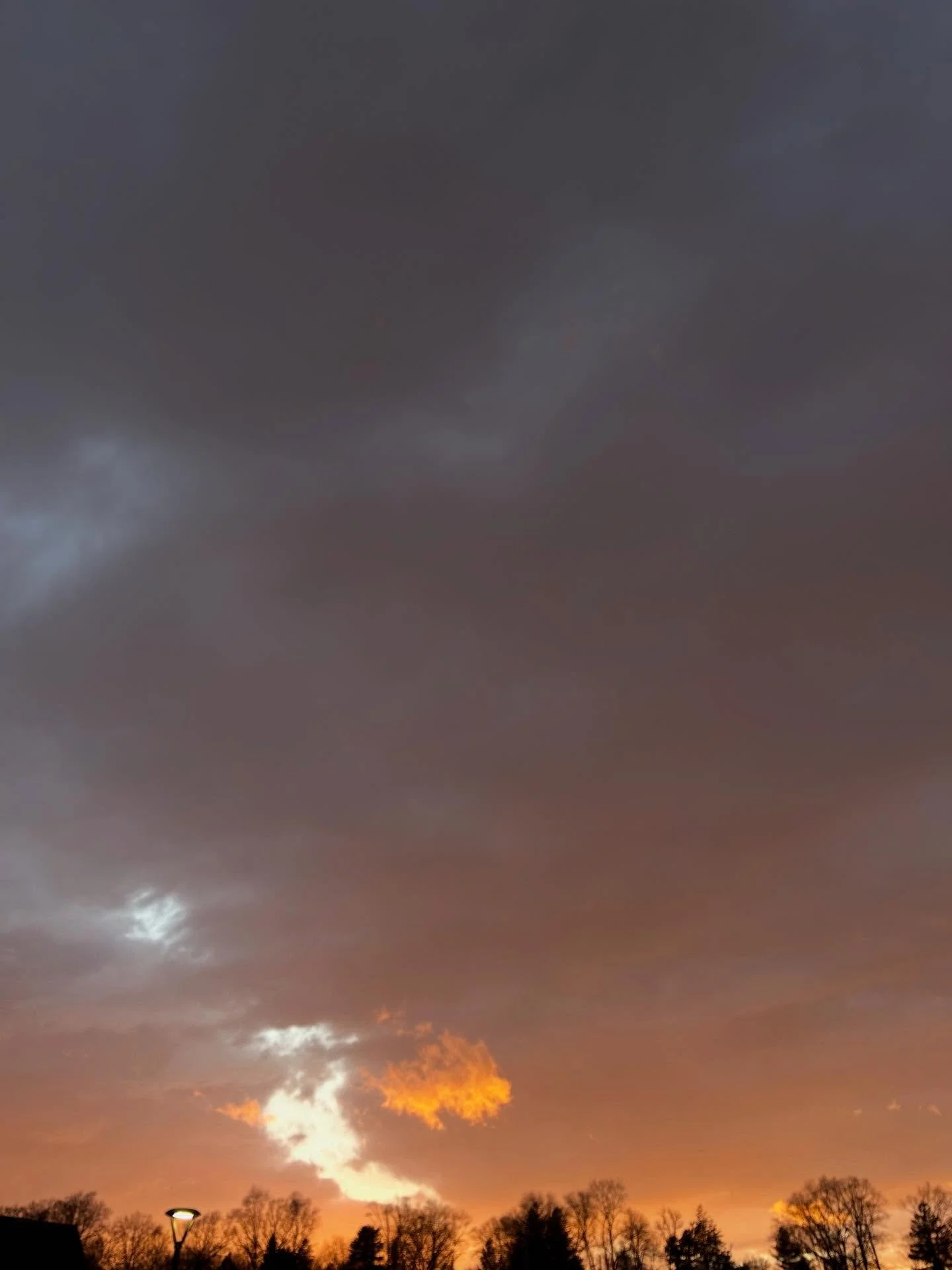 Astro Mantra
1/4/2026

Moon enters creative Leo.
Fire/Fixed/Yang

The Moon&rsquo;s move into Leo is significant: it shifts the mood toward confidence, warmth, self-expression, leadership, creativity, and a desire to be seen and appreciated&mdash;lean