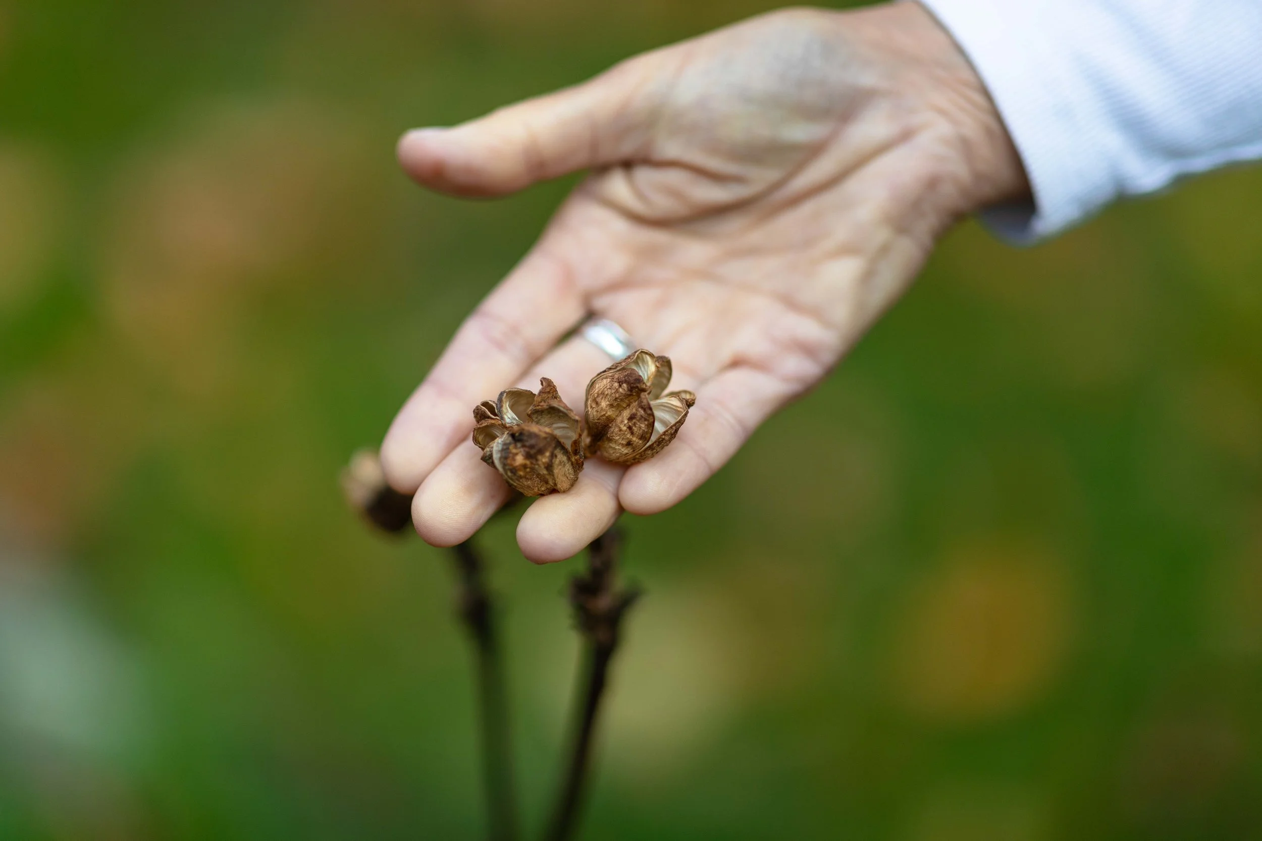 Cancer Full Moon New Year Energy Update