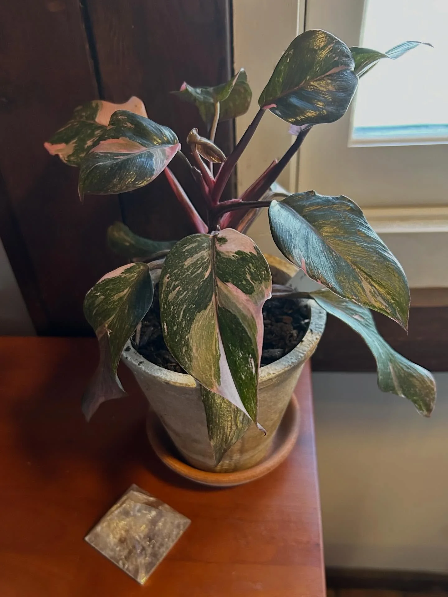 Moon in Aries &mdash; January 23, 2026
The Moon in Aries brings emotional immediacy, instinct, and urgency. Feelings seek expression now, not later. This is a bold, reactive, initiating Moon &mdash; less about comfort, more about movement, independen