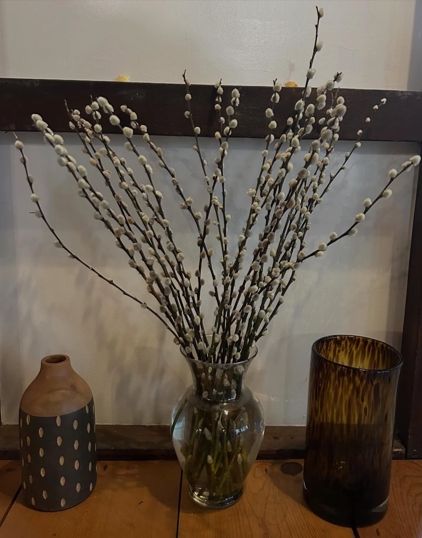 Mantra: Steady Outlook
January 26th, 2026

The Moon remains steady in Taurus (Earth). We need this Taurian energy to stabilize things as Neptune moves into Aries (Fire). Additionally, four planets plus the Sun are in Aquarius, guiding us toward a new