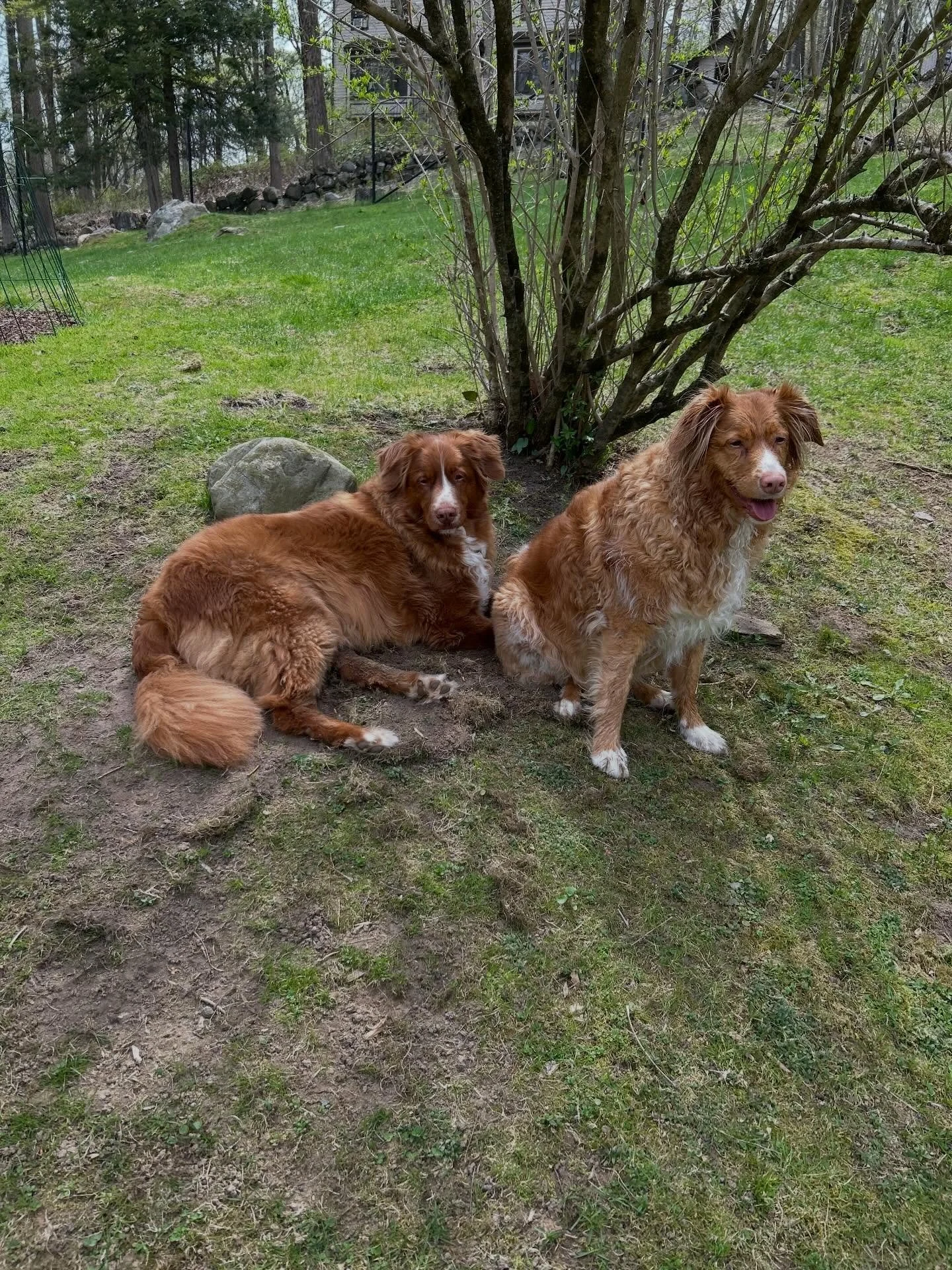 Mantra and Energy Update

I&rsquo;m tuning into ideas that spark meaningful conversations!

Moon in Gemini (air element) today&mdash;curious, chatty, and mentally lively. Words flow easily, connections spark. Say what you mean... powerfully.

Energy 