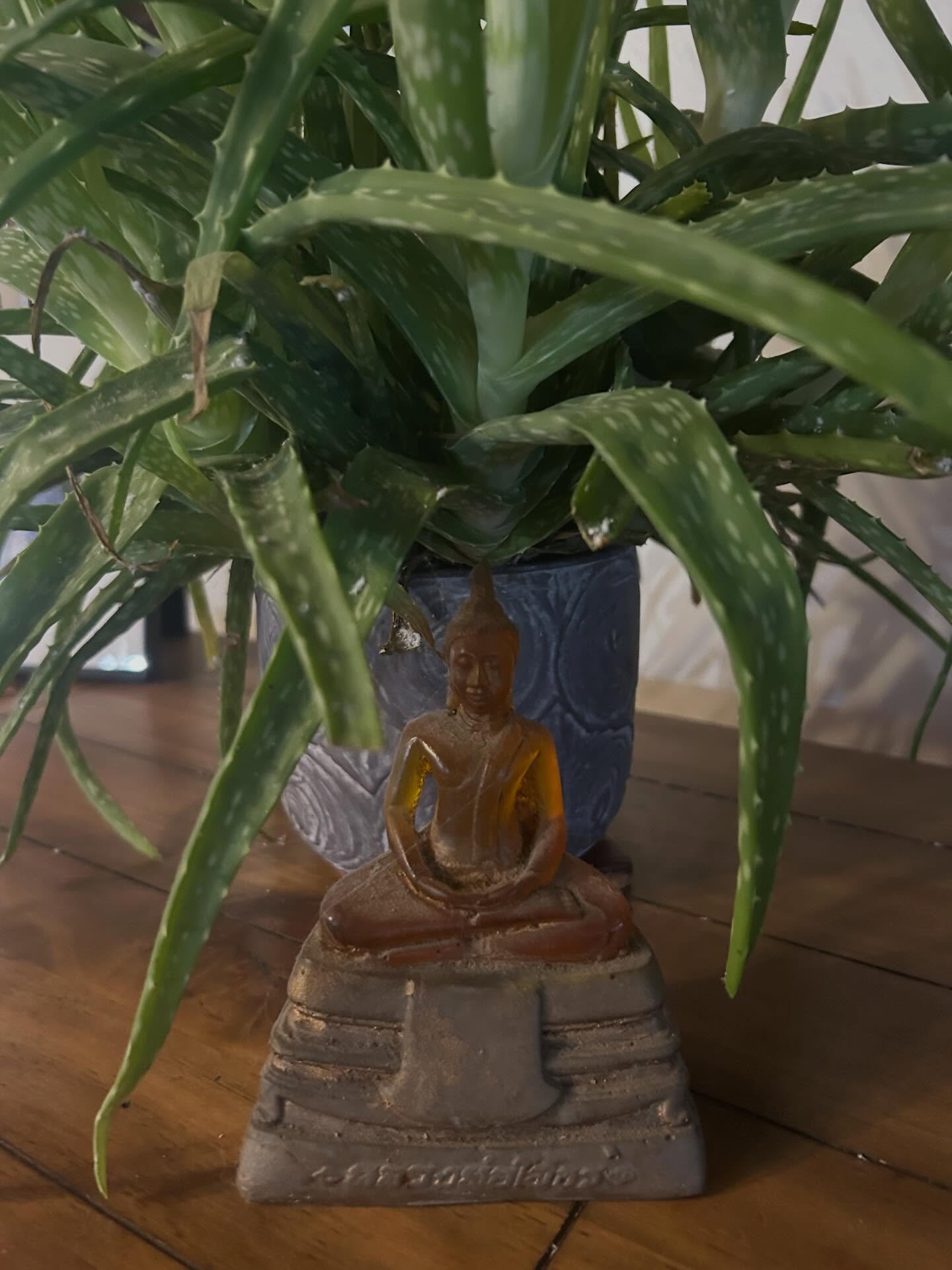 After an eclipse, you might feel a bit foggy, as if you&rsquo;ve just had a long night. Drink water, move your body, and walk on the earth. A friendly tip for you and for me: being an Aquarius, I&rsquo;m feeling it. :-) The Moon has shifted into Pisc