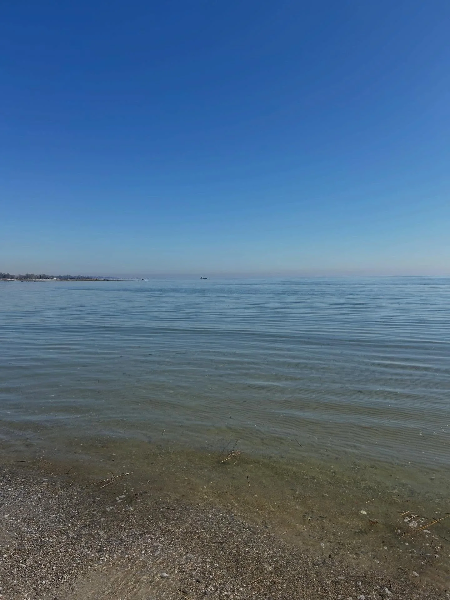 Mantra 3/22/26 The Moon remains in Taurus.

&ldquo;Believe in your personal growth.&rdquo;

Write it, say it, and be it!

We have a powerful and highly supportive Grand Water Trine currently active in the sky, involving Jupiter in Cancer, Mars in Pis