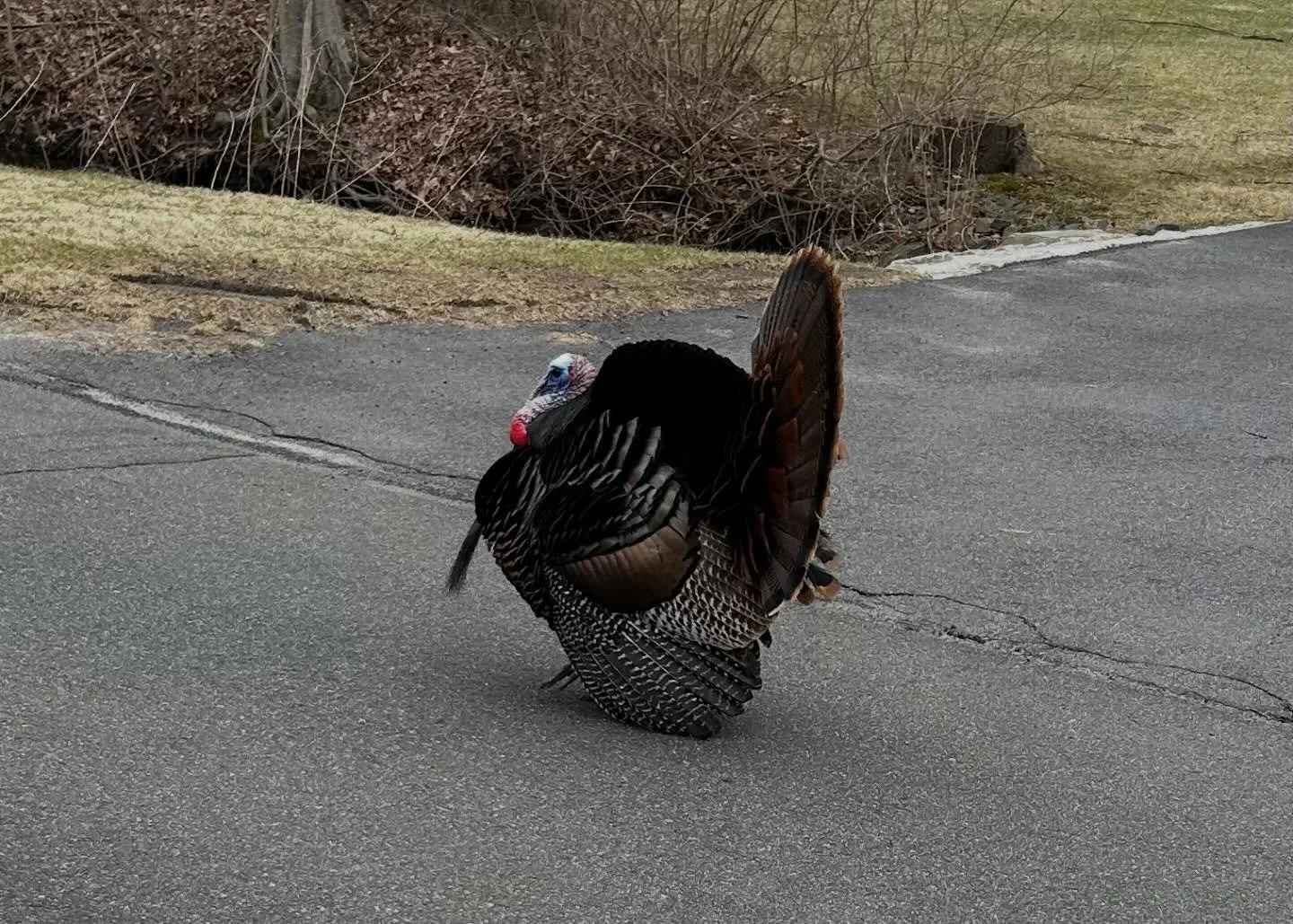 On March 26th, Saturn sits at the heart of the Sun in Aries (Cazimi) &mdash; and this is not gentle energy. This is the moment you realize: you can&rsquo;t keep playing small and call it &lsquo;being patient.&rsquo;

What a Saturn Cazimi Actually Mea