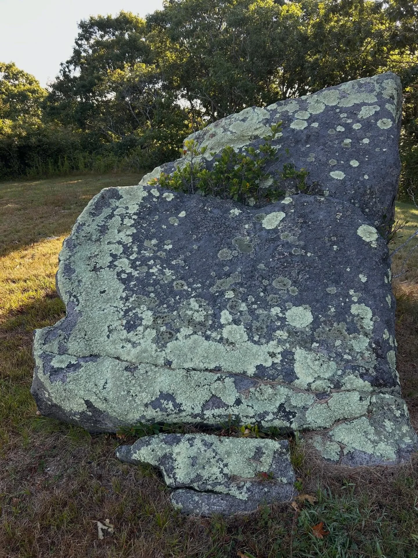 Between what was and what we&rsquo;re becoming, we are being asked to rebuild.
Saturn in Aries, in sextile to Pluto in Aquarius, offers a rare moment of cooperative transformation&mdash;one that supports intentional change, both within ourselves and 