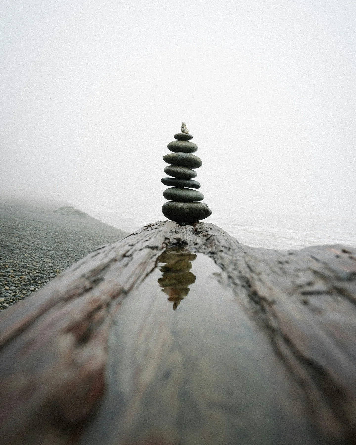 The Libra Full Moon: A Moment of Balance and Becoming

The Full Moon in Libra, ruled by Venus and associated with the Air element, occurs around April 1st or 2nd, depending on your location.

Full moons generally symbolize a peak or the release of an