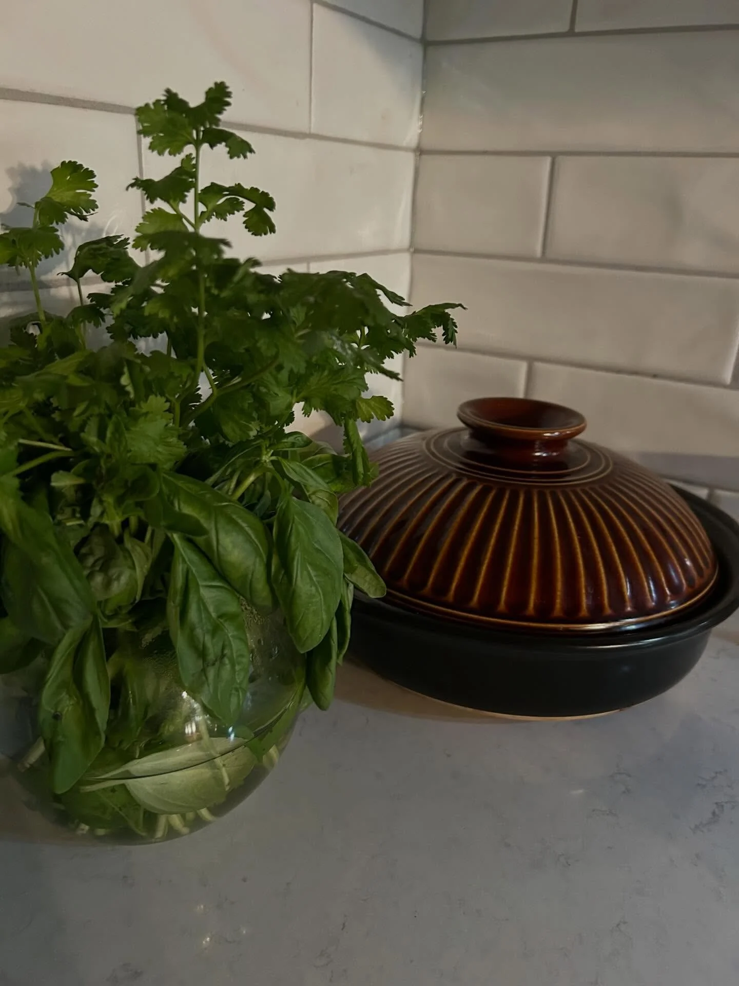 Mantra
4/23/26

Moon at 29&deg; of Cancer (water), moving into Leo (fire)later today.

If you have felt emotional over the last couple of days and want to reconnect with your emotional roots, this feeling is a healing energy moving us toward the Leo 