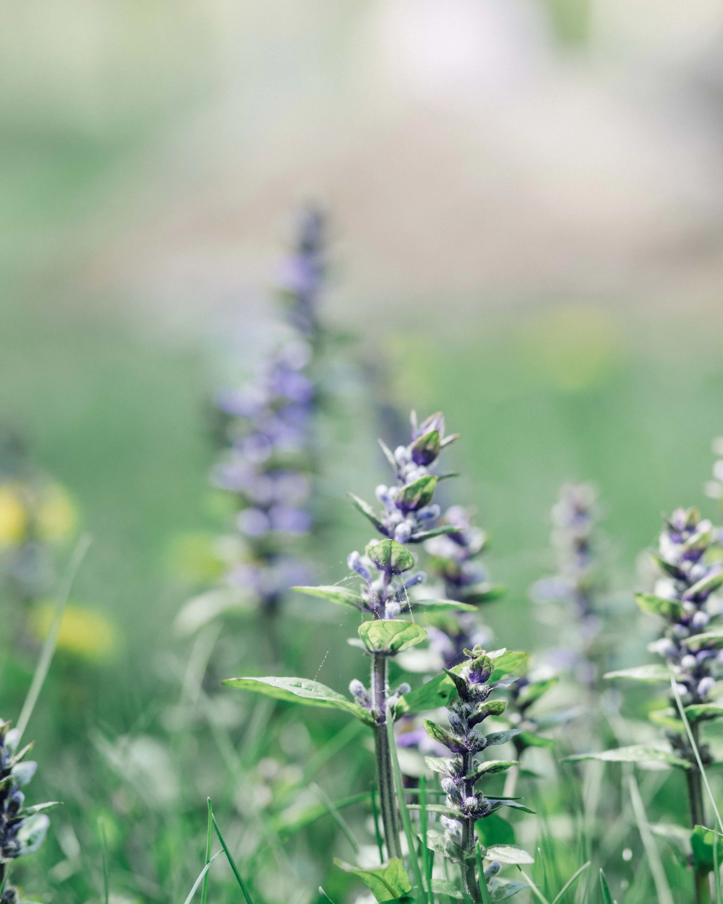 Mantra
6/3/2026
Moon in practical, earthy Capricorn.
This Moon guides you not to set goals, but to take the steps required to implement them.
The theme is less social and more work-oriented. Great coaching, Moon!