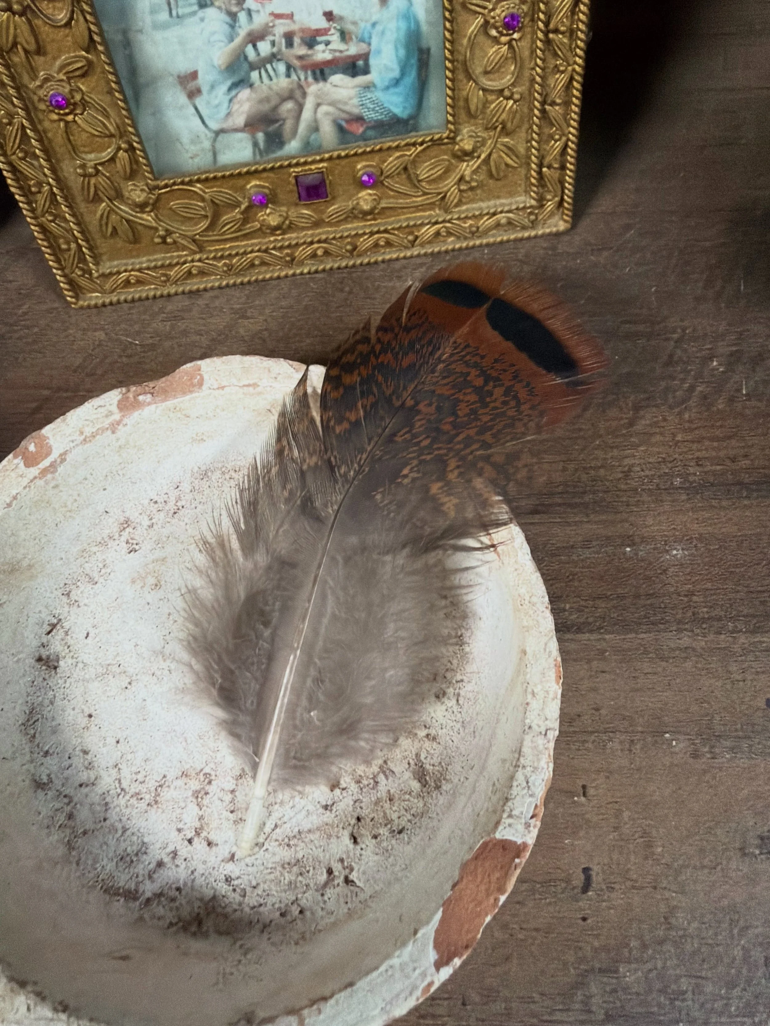 This morning, I woke to the beautiful sounds of three wild turkeys in my driveway. One of them caught my attention immediately. He stood beside my car, quietly watching his reflection. Every so often, he tilted his head, peeked again, and continued o