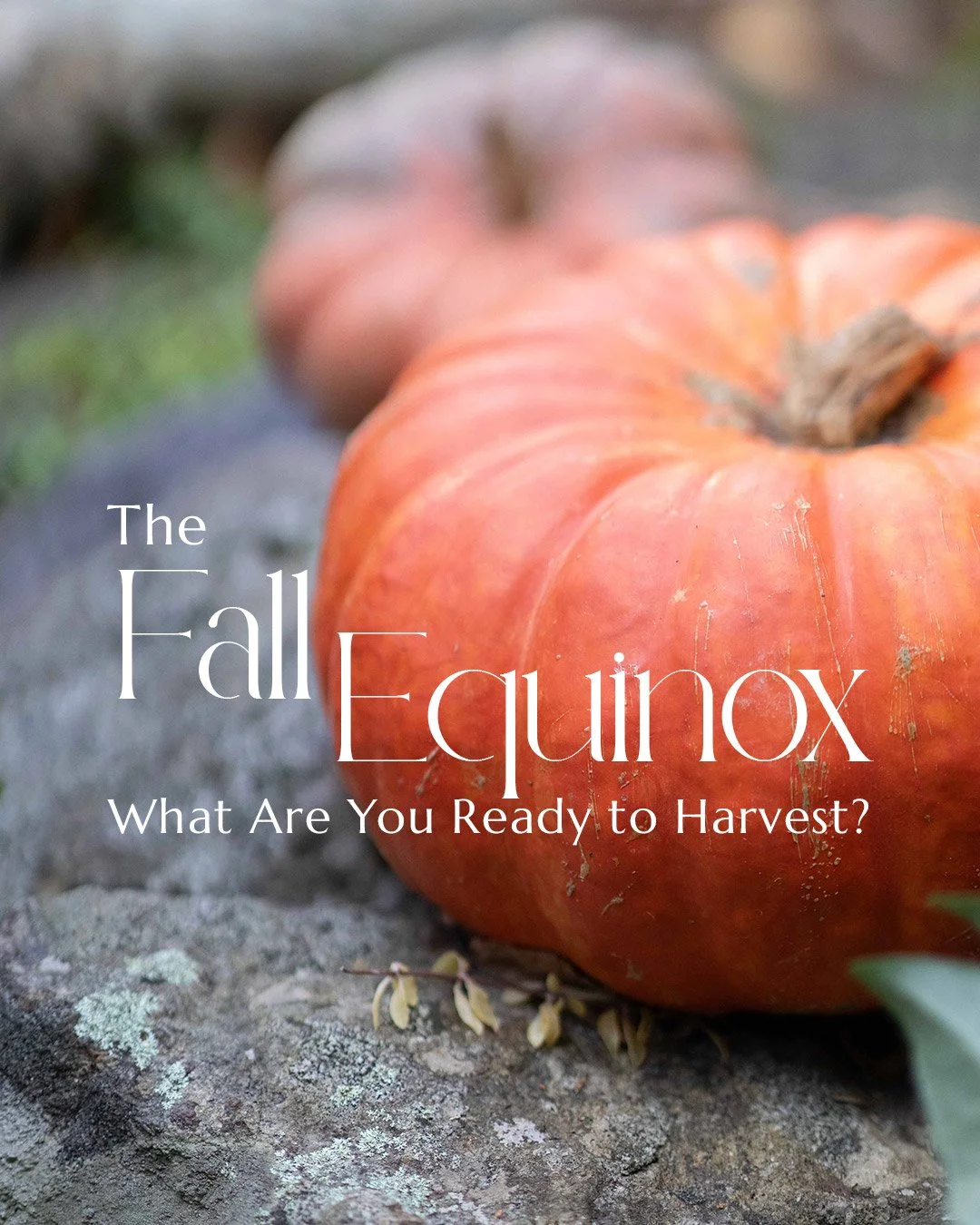 The Fall Equinox: What Are You Ready to Harvest?

What is worth carrying into the next season?

As we approach the astronomical start of Fall in the Northern Hemisphere and Spring in the Southern Hemisphere, we arrive at a moment of balance.

Each ye