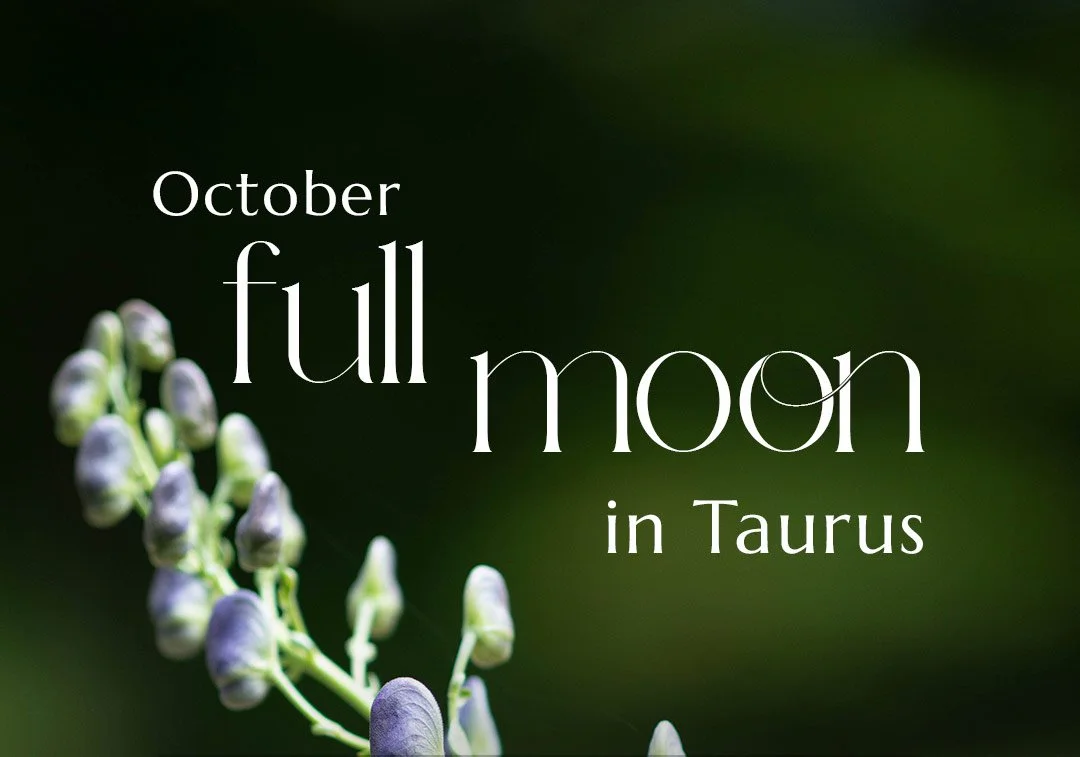 Full Moon in Taurus: Coming Home to What Grounds Us