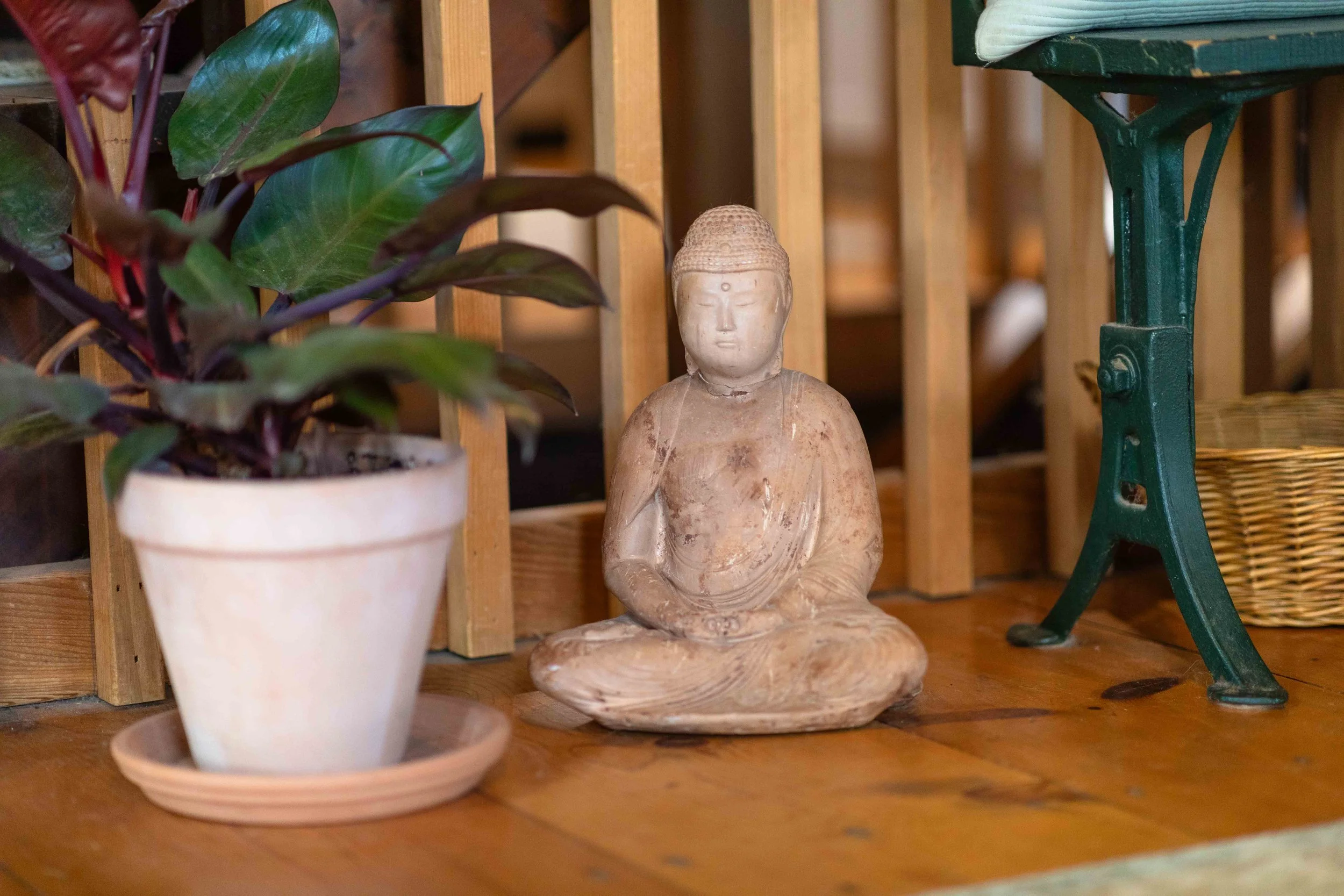 A Sanctuary of Truth: The Sagittarius New Moon