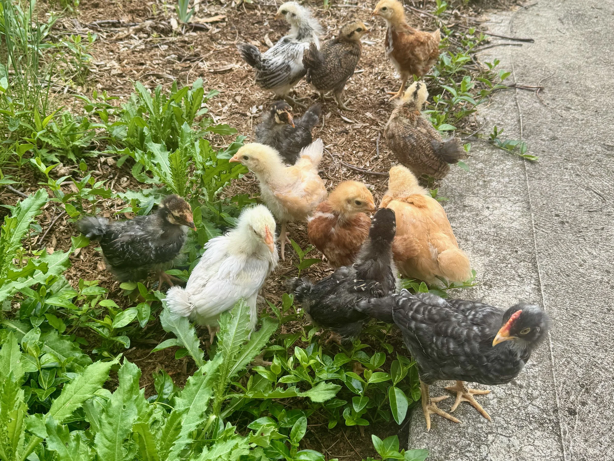 First time outside