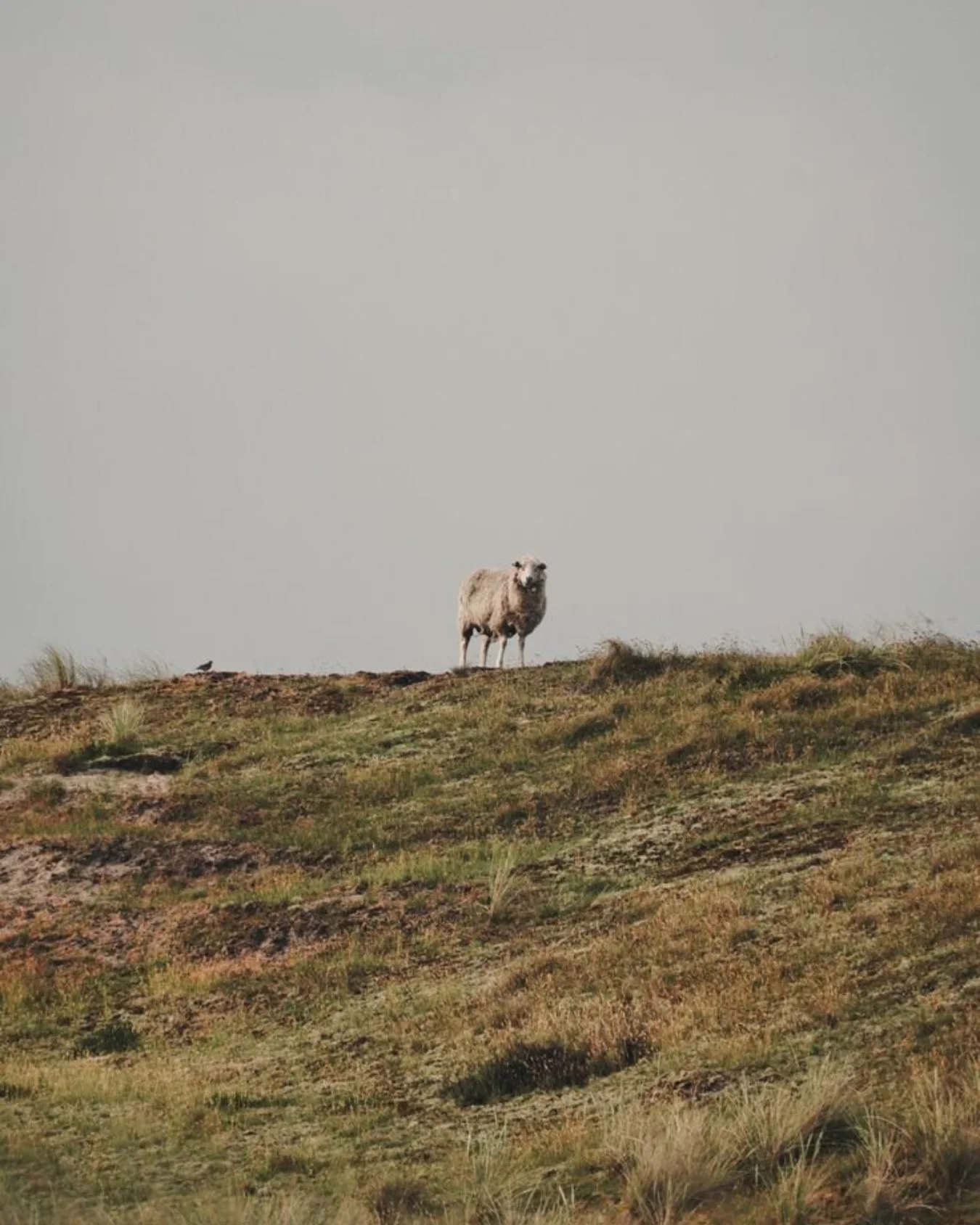 Ein St&uuml;ck norddeutsche Heimat. Bodenst&auml;ndig, verl&auml;sslich und mit Weitblick. Werte, die uns im Norden pr&auml;gen und unser t&auml;gliches Handeln bei HCM bestimmen. Wir denken Immobilienverwaltung regional, nachhaltig und generationen&