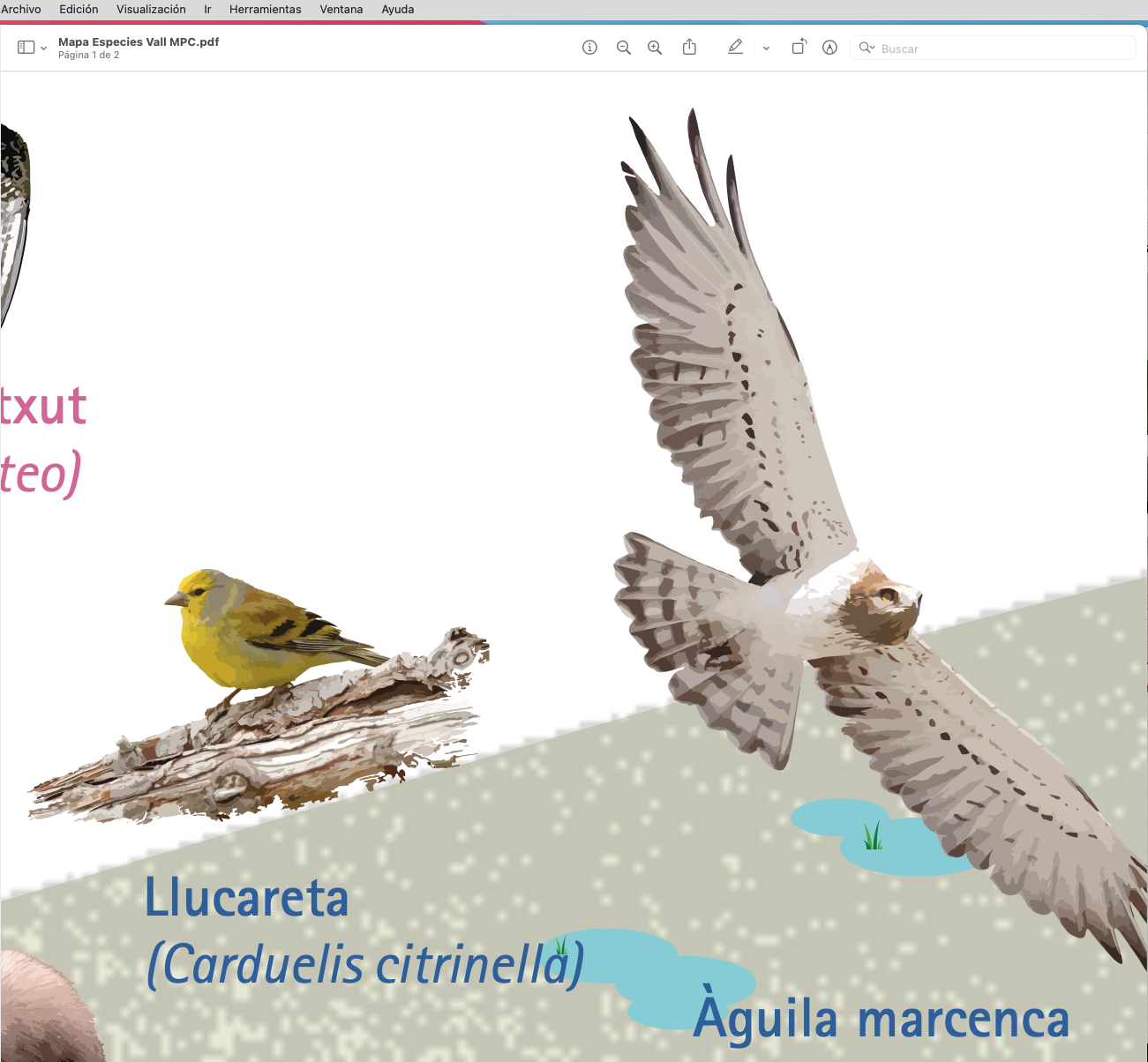 Captura de Pantalla 2025-07-01 a las 18.34.33.png