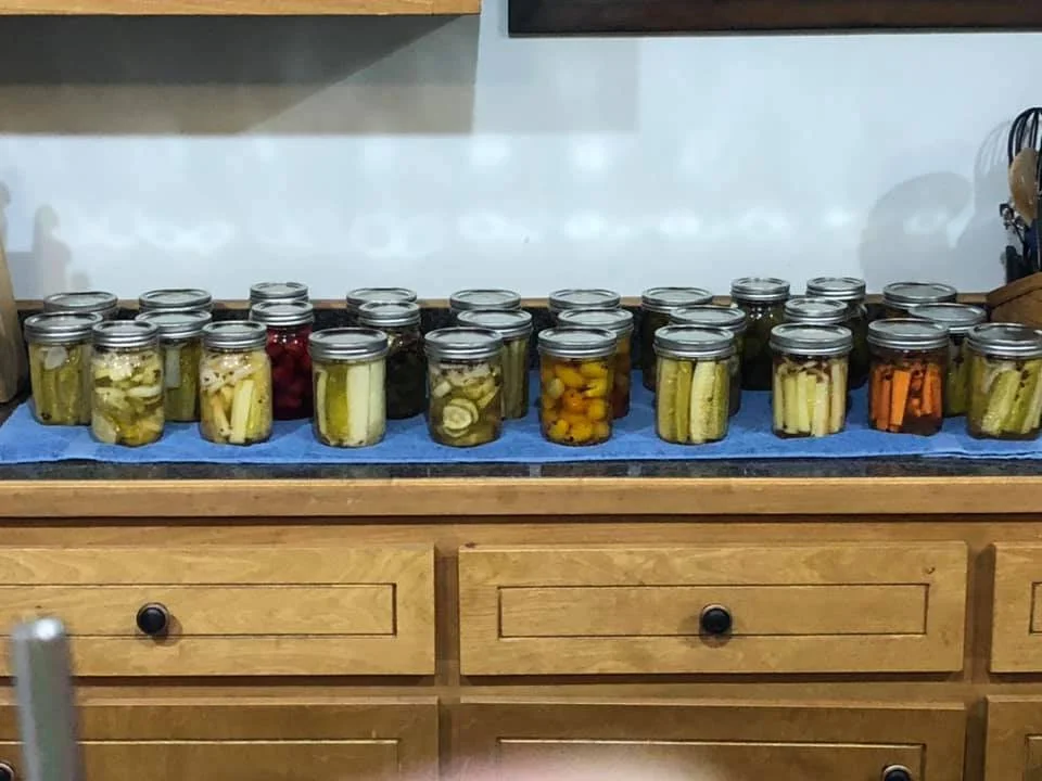 Multiple jars filled with homemade pickled vegetables arranged on a kitchen counter covered with a blue cloth.