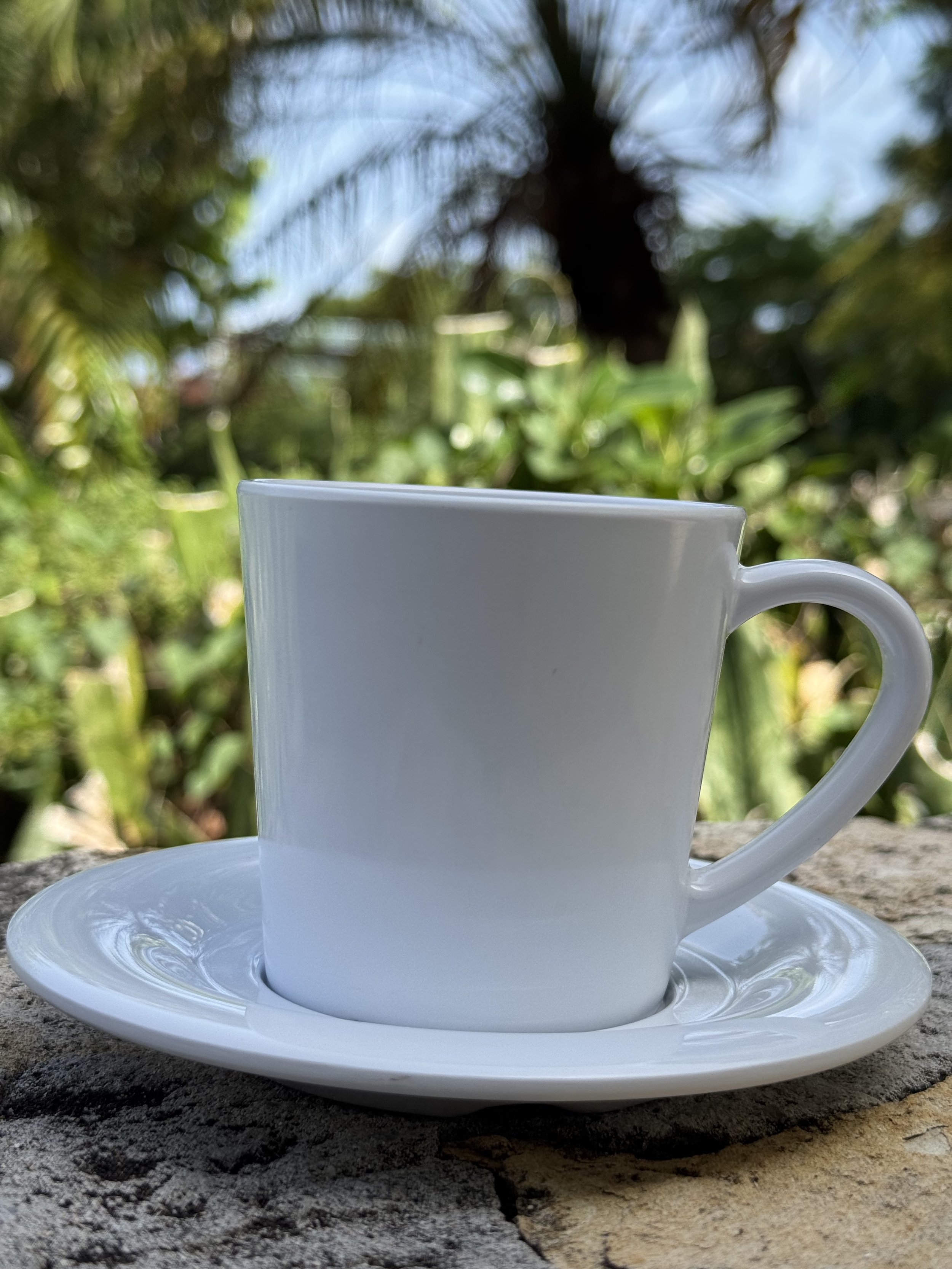 White teacups and saucers