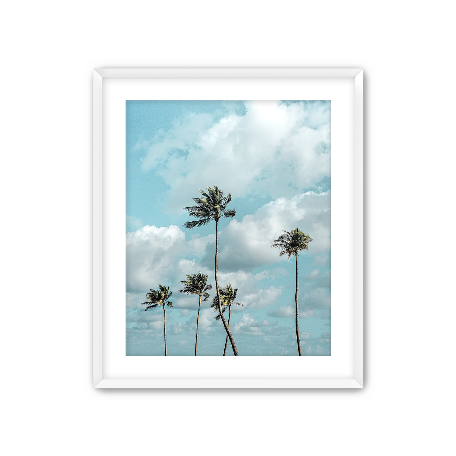 PIF x IWS 5 White Frame .png