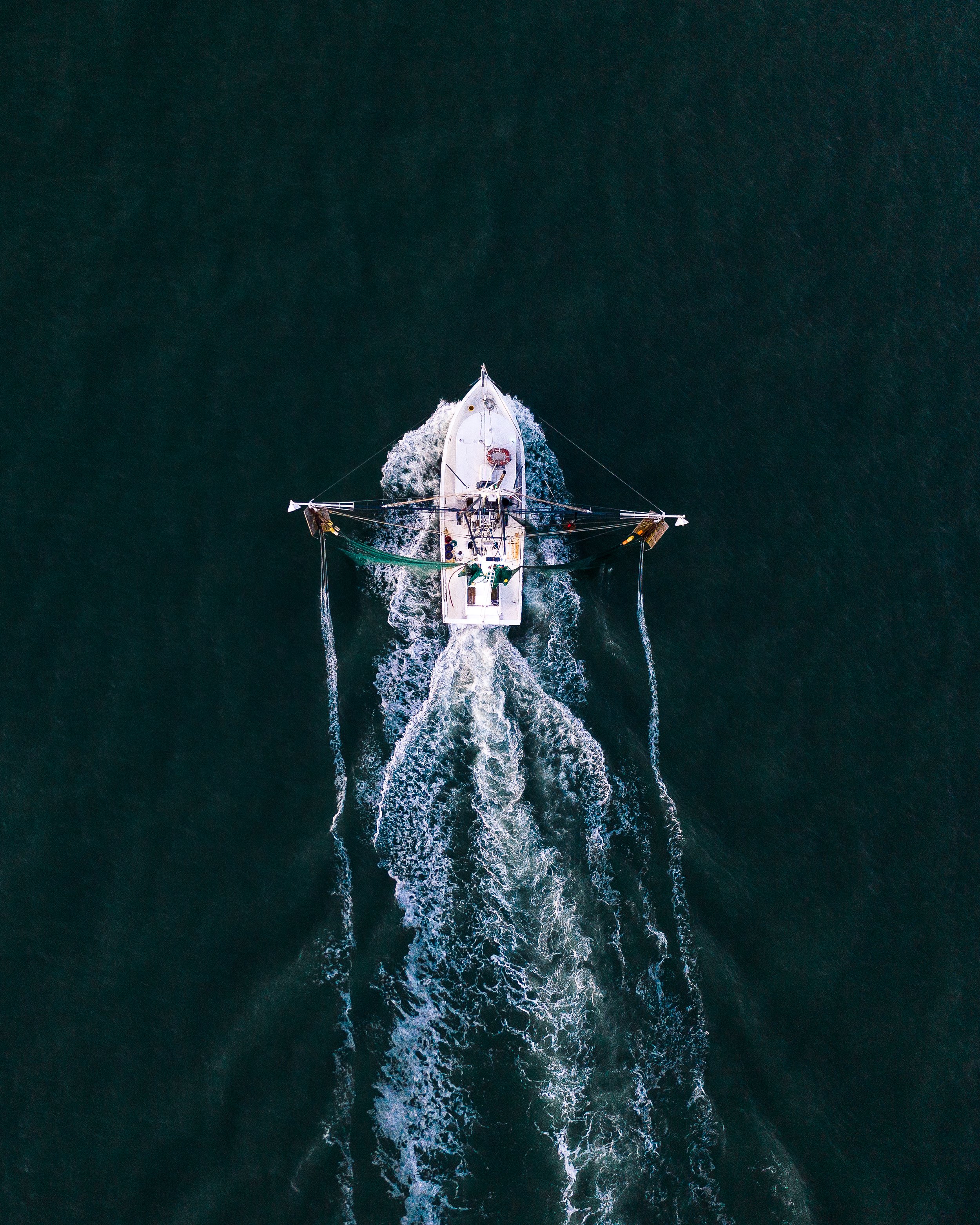 PIF x In the Southern Wilds-15.jpg