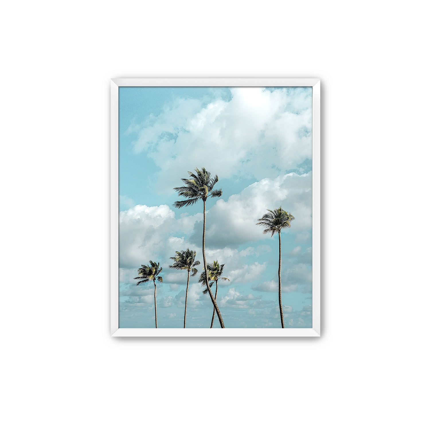 PIF x IWS 5 White Frame Mat.png
