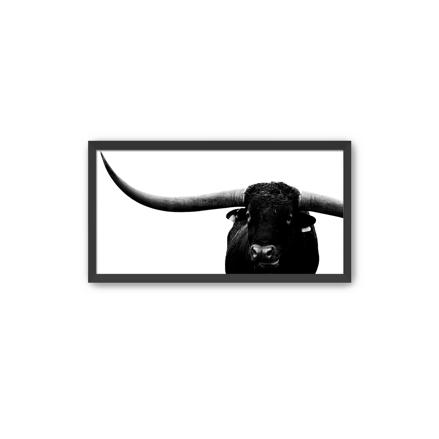 LONGHORN 10 X 20 Black Frame.png