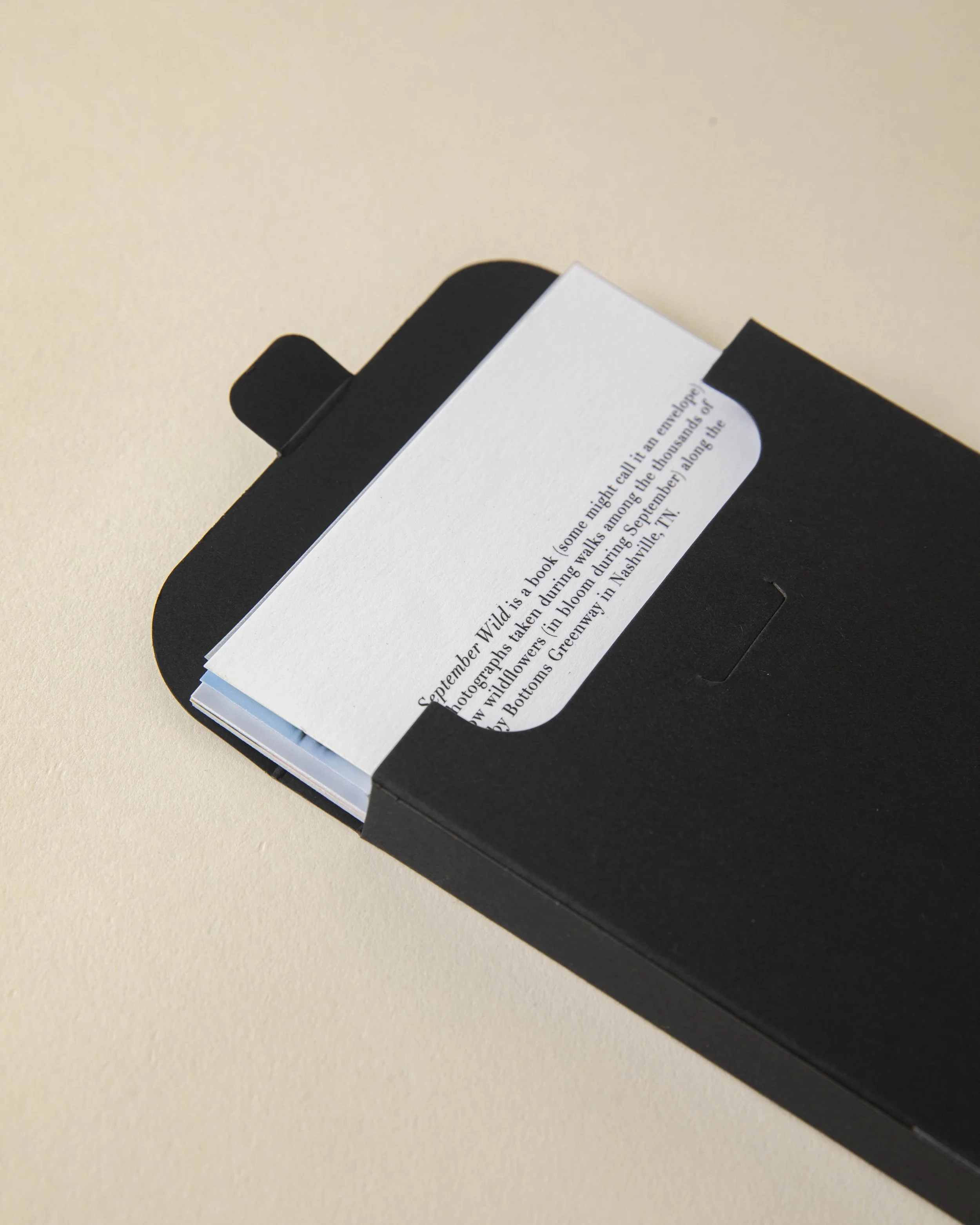 September Wild_Sam Angel-14.jpg