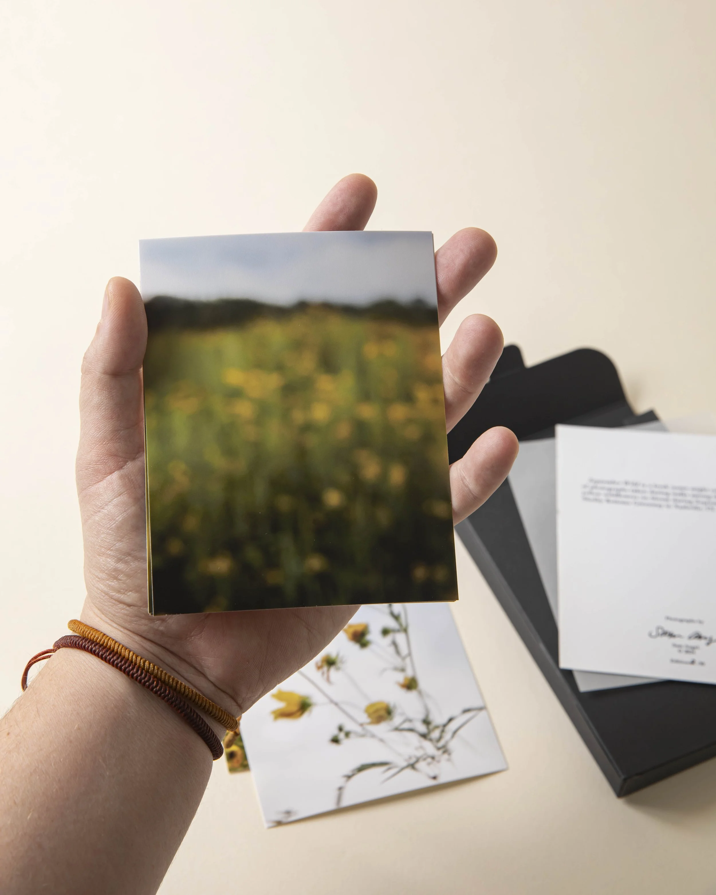 September Wild_Sam Angel-16.jpg